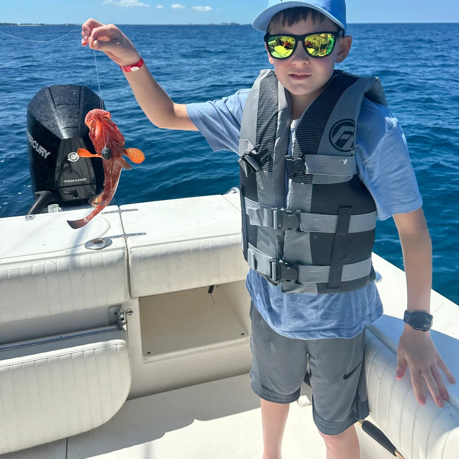 The most recent Strawberry hind catches on Fishbrain