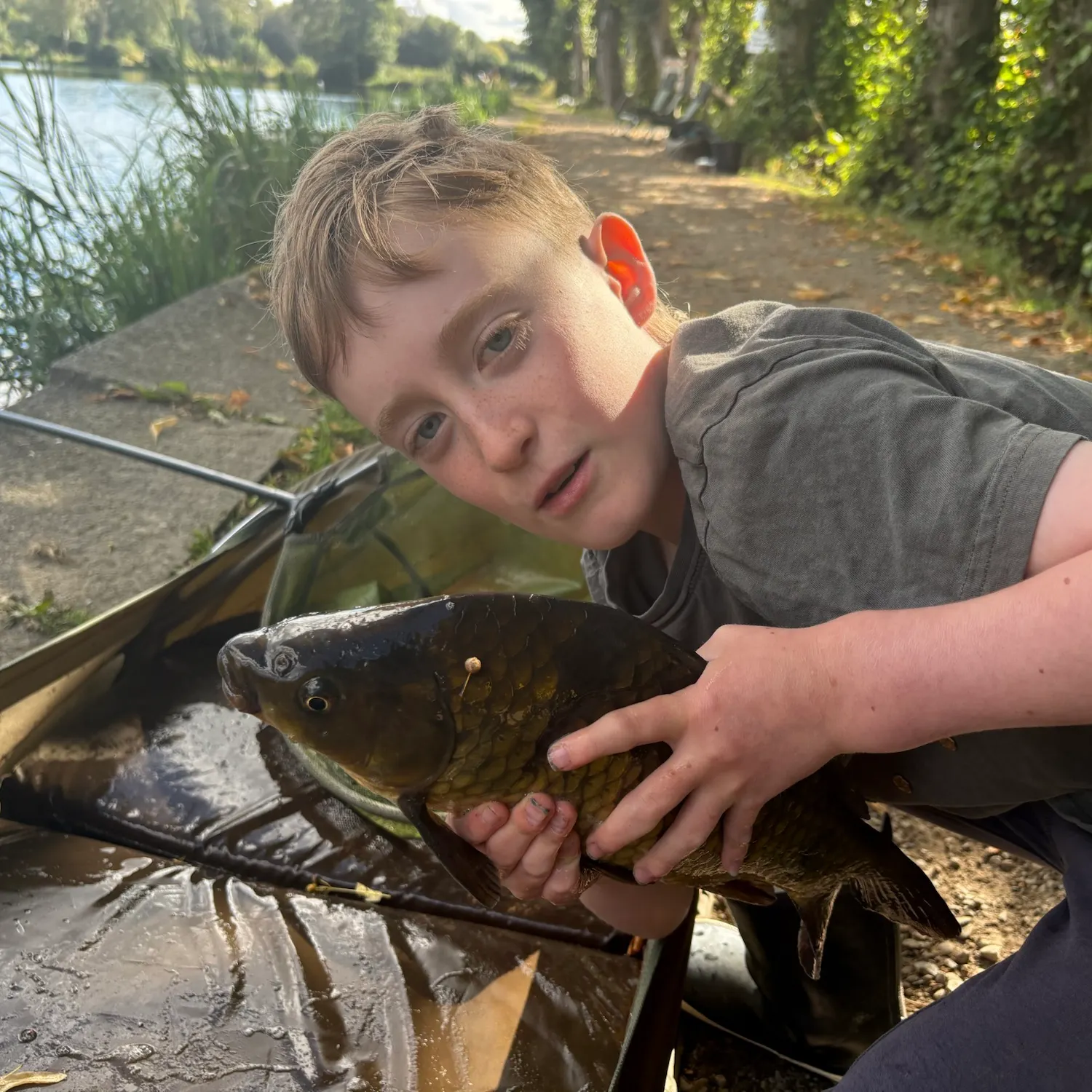 F1 carp caught on Fishbrain