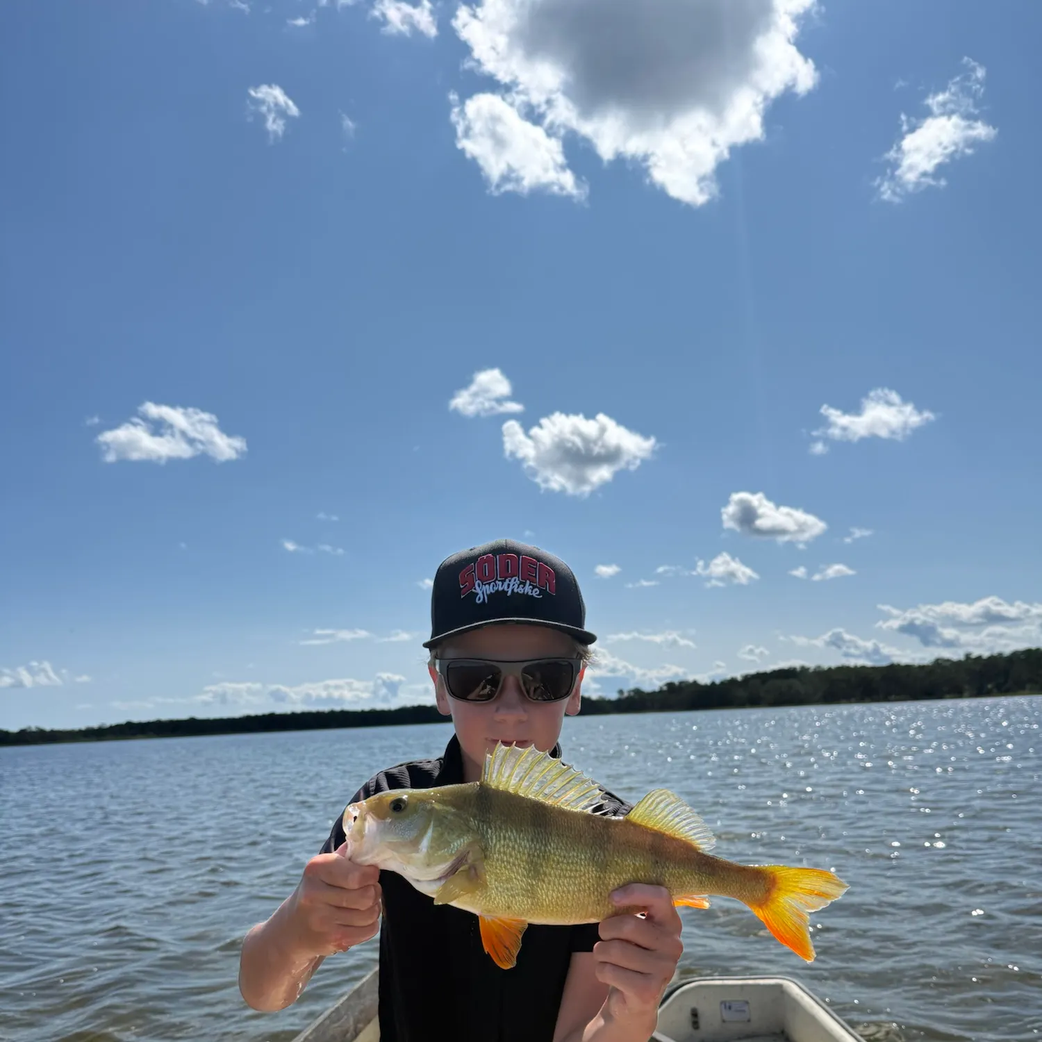 European perch caught on Fishbrain