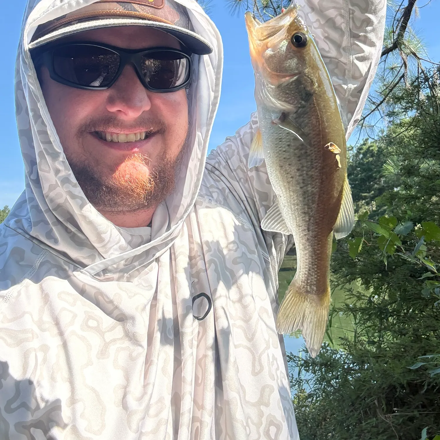 Largemouth bass caught on Fishbrain