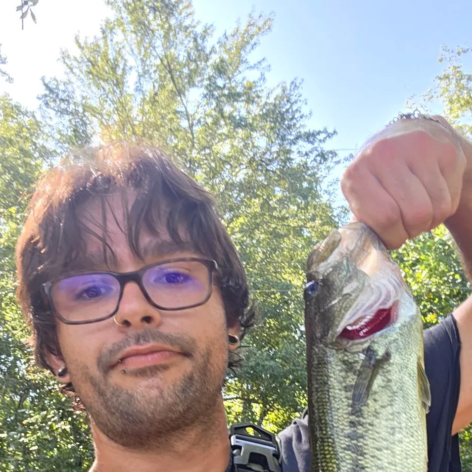 Alabama bass caught on Fishbrain
