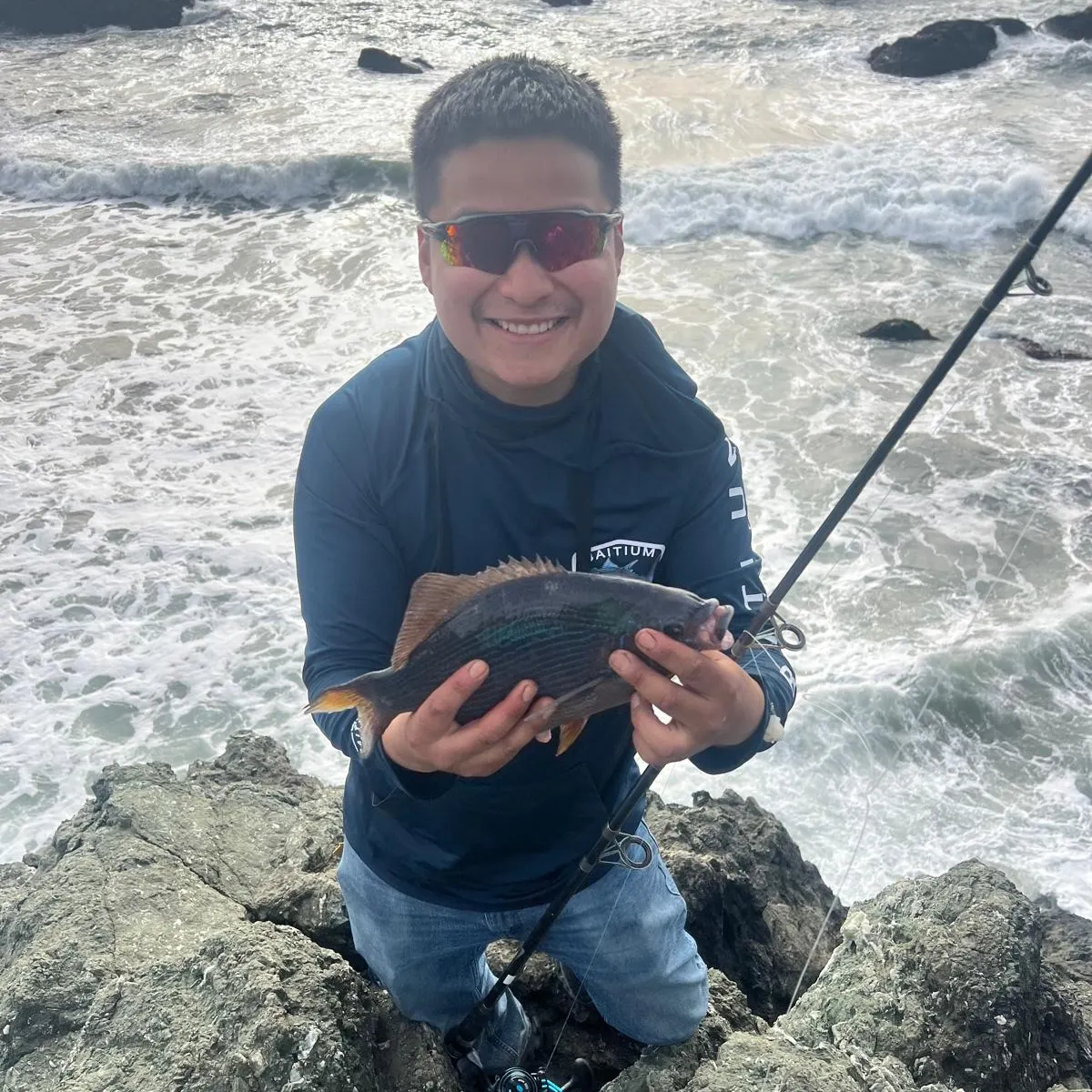 The most recent Striped seaperch catches on Fishbrain