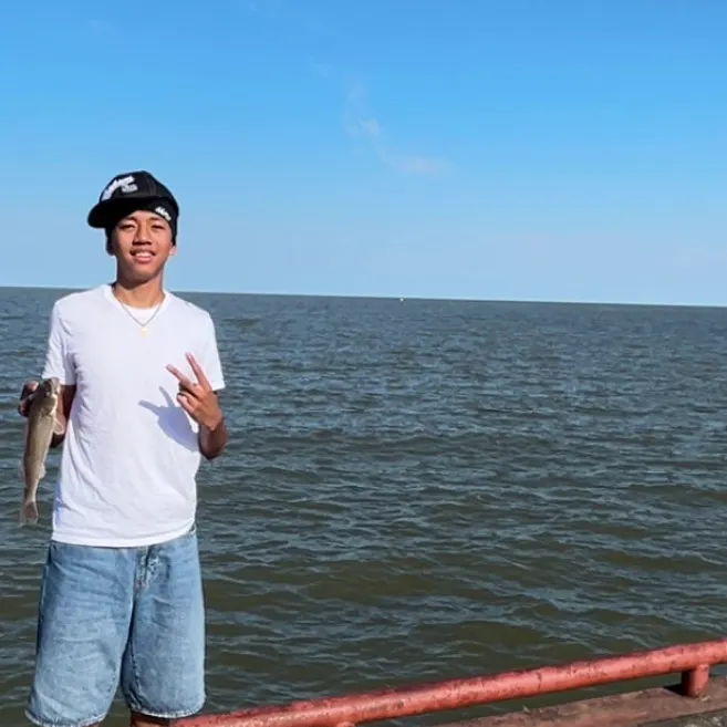 The most recent Sauger catches on Fishbrain