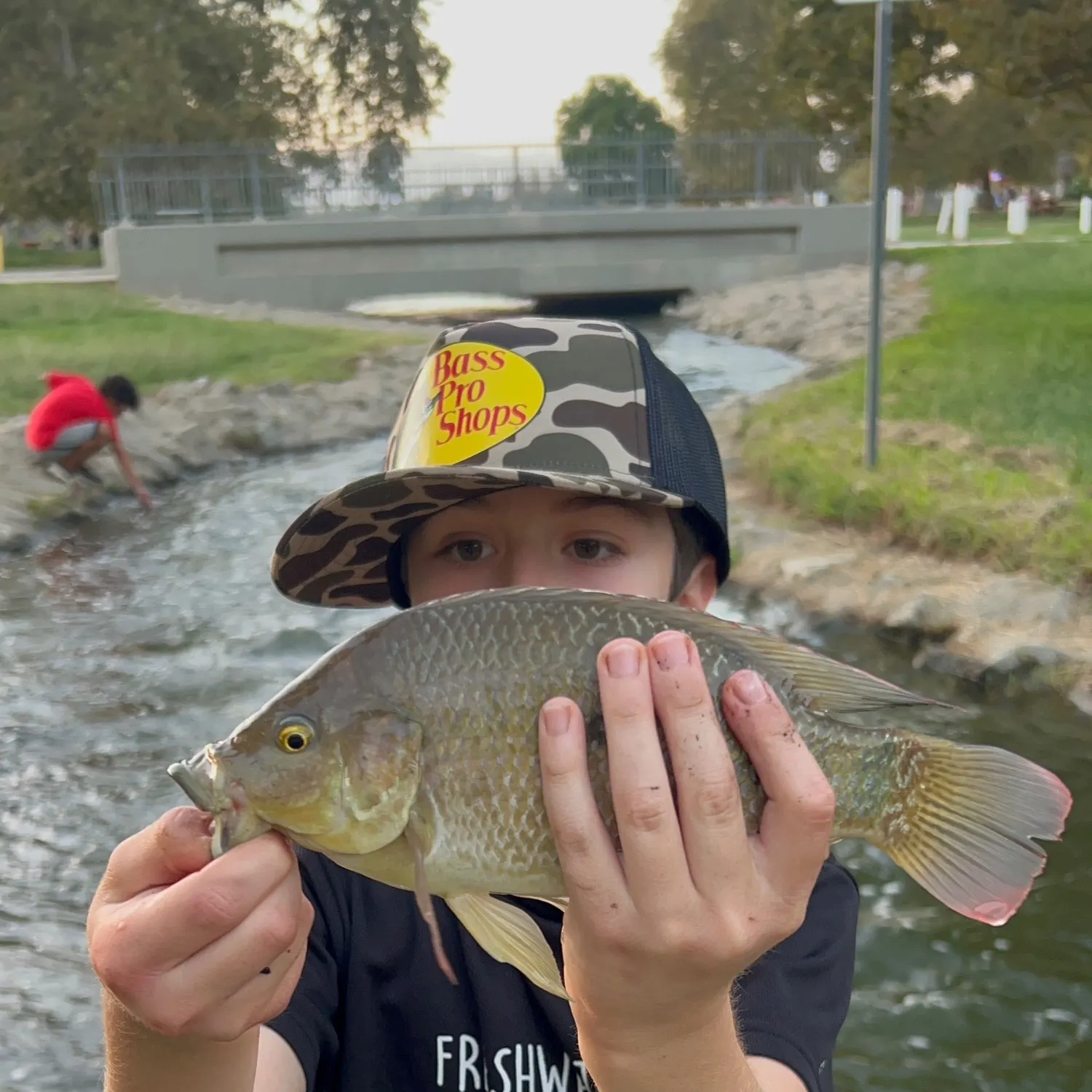 Blue tilapia caught on Fishbrain