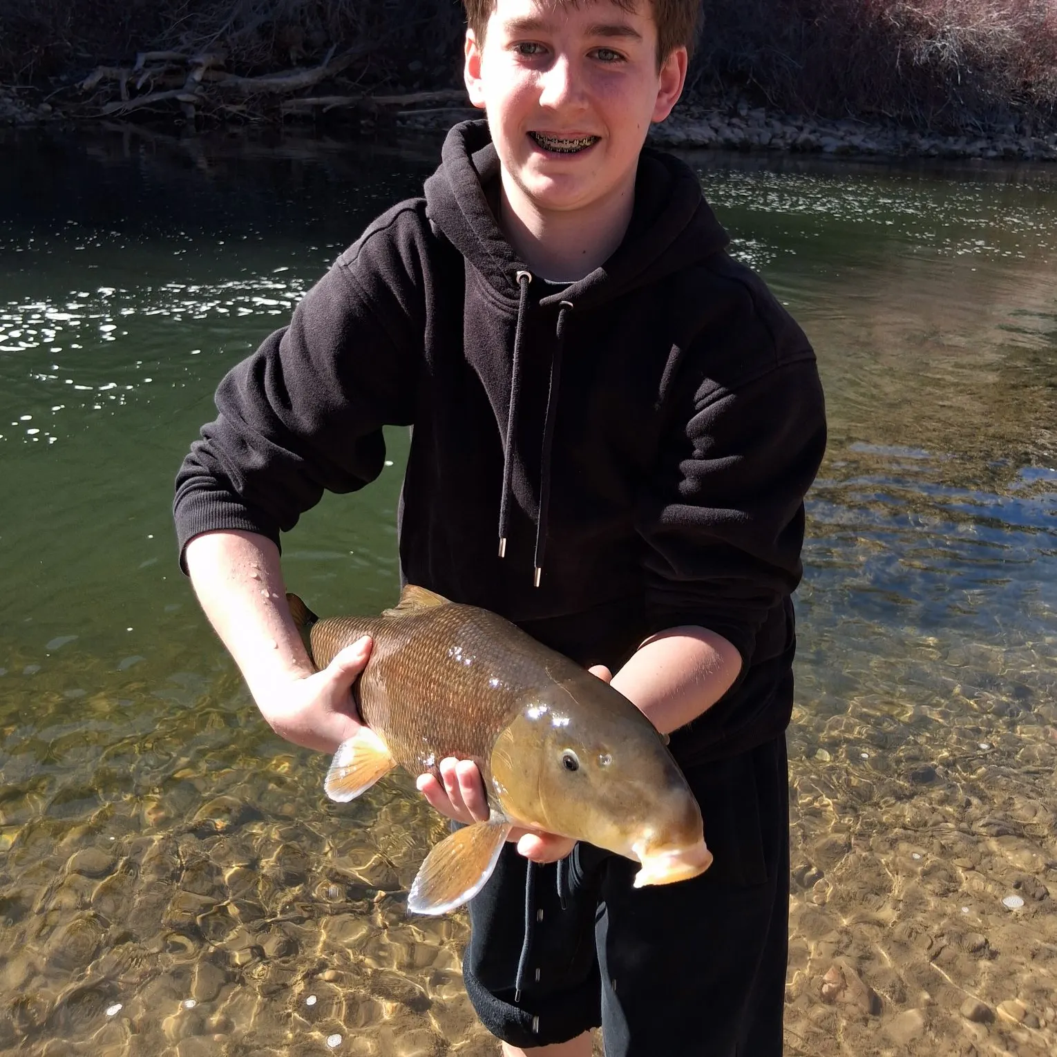 The most recent Green sucker catches on Fishbrain