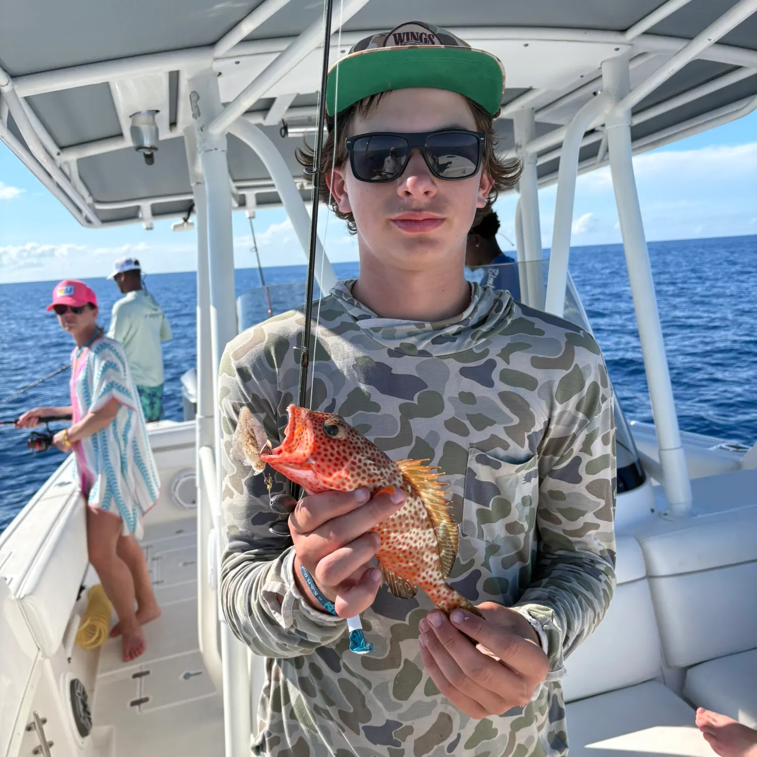 The most recent Greasy grouper catches on Fishbrain