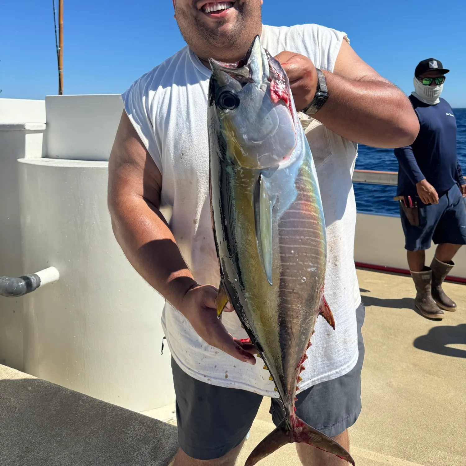 Yellowfin tuna caught on Fishbrain