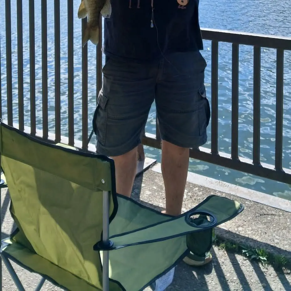 Smallmouth bass caught on Fishbrain