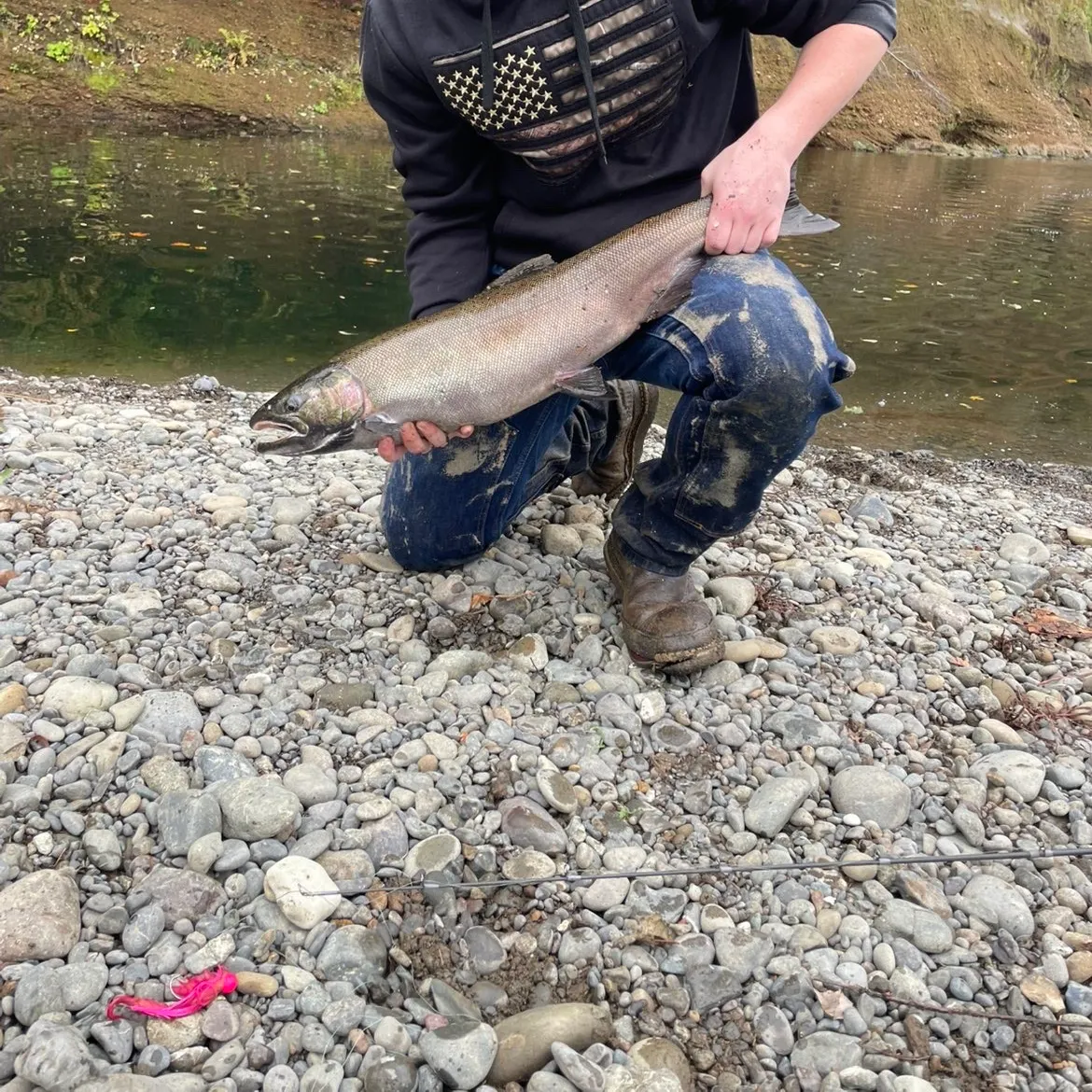 The most recent Coho salmon catches on Fishbrain