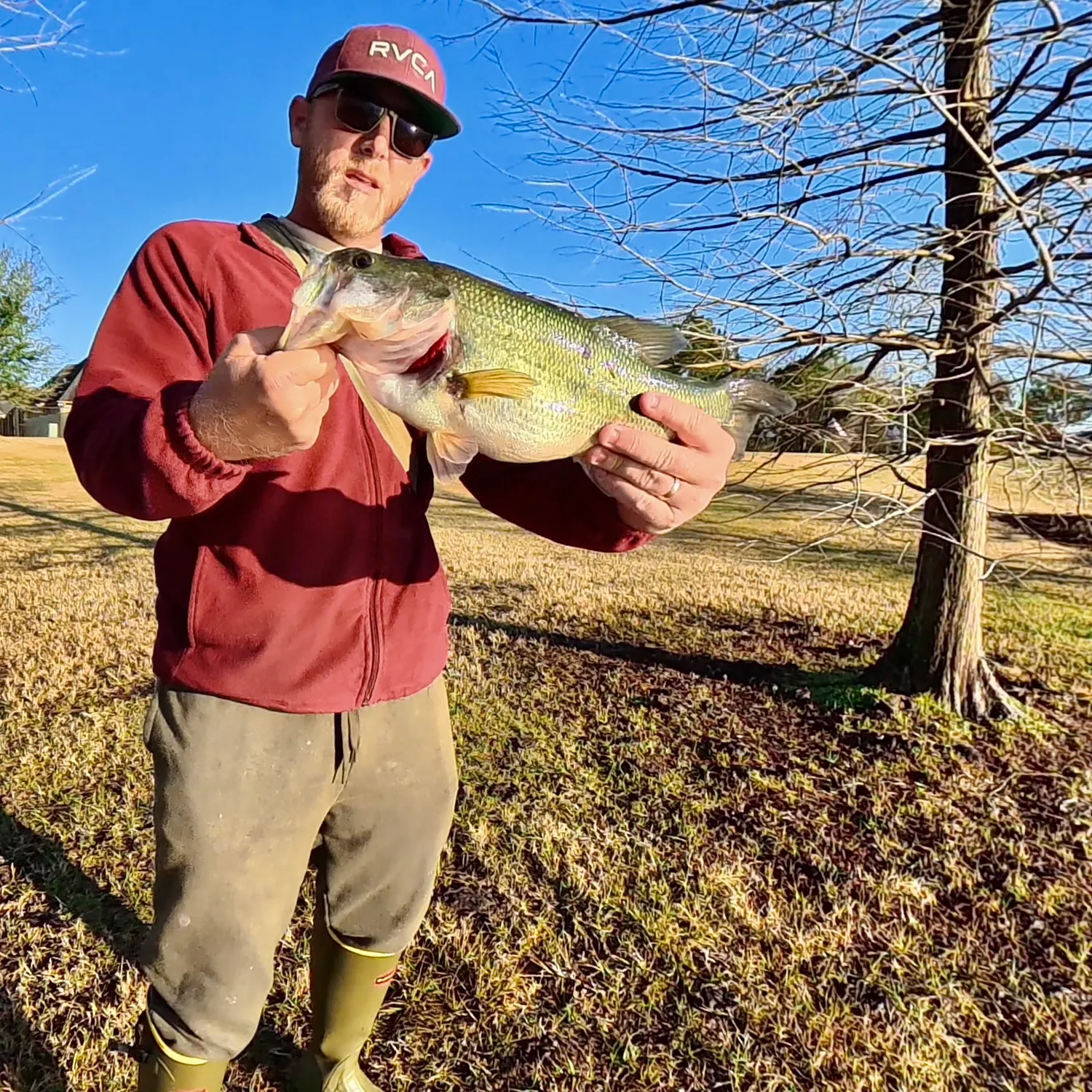The most recent Largemouth bass catches on Fishbrain