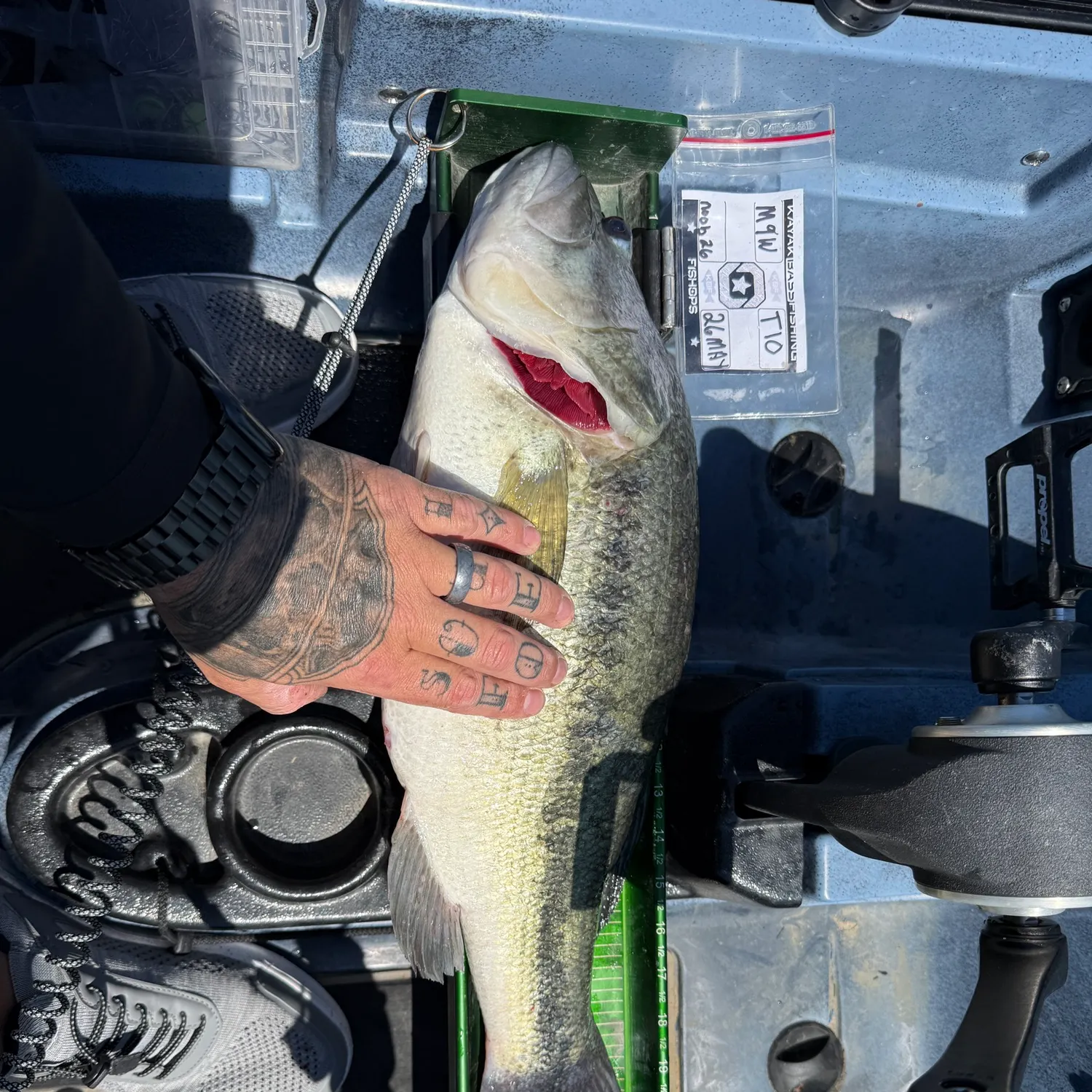 recently logged catches