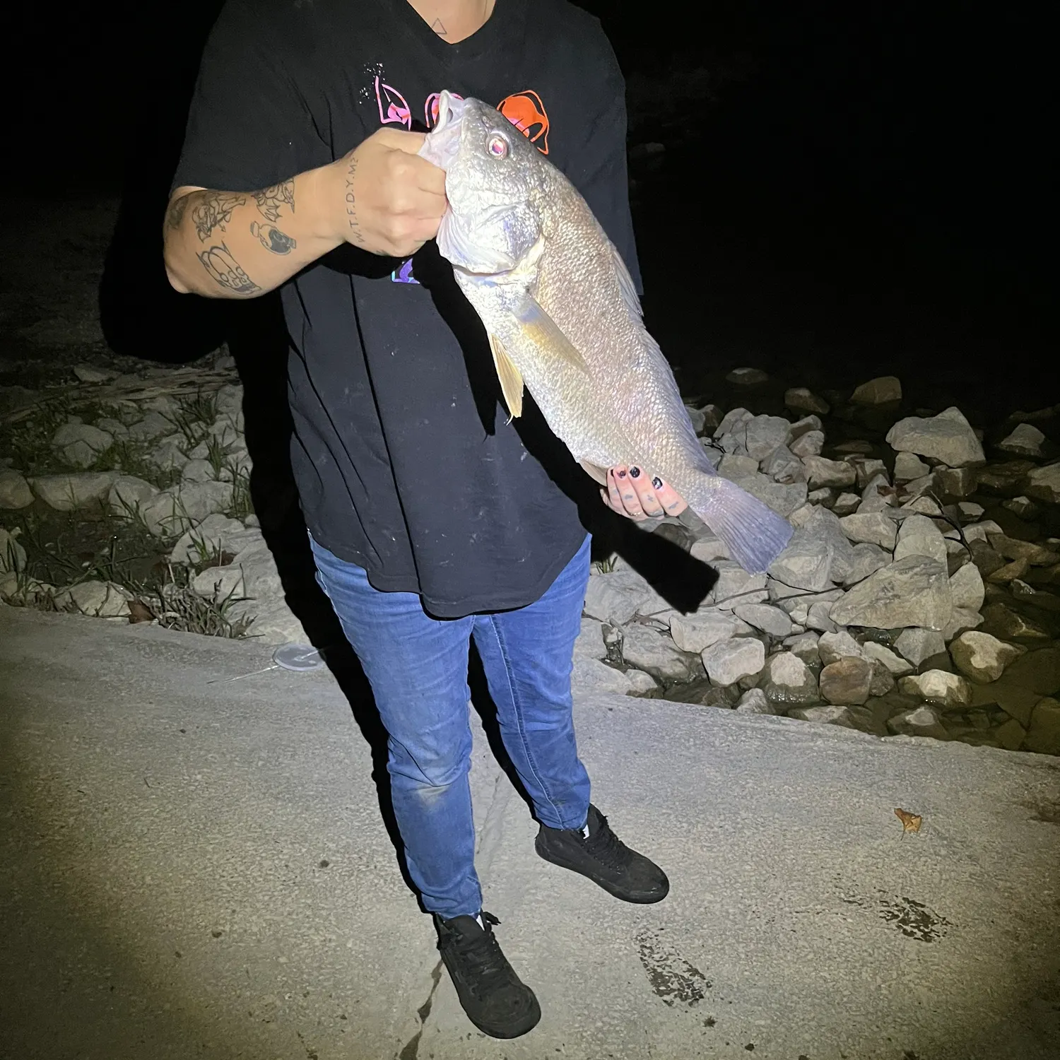 Freshwater drum caught on Fishbrain