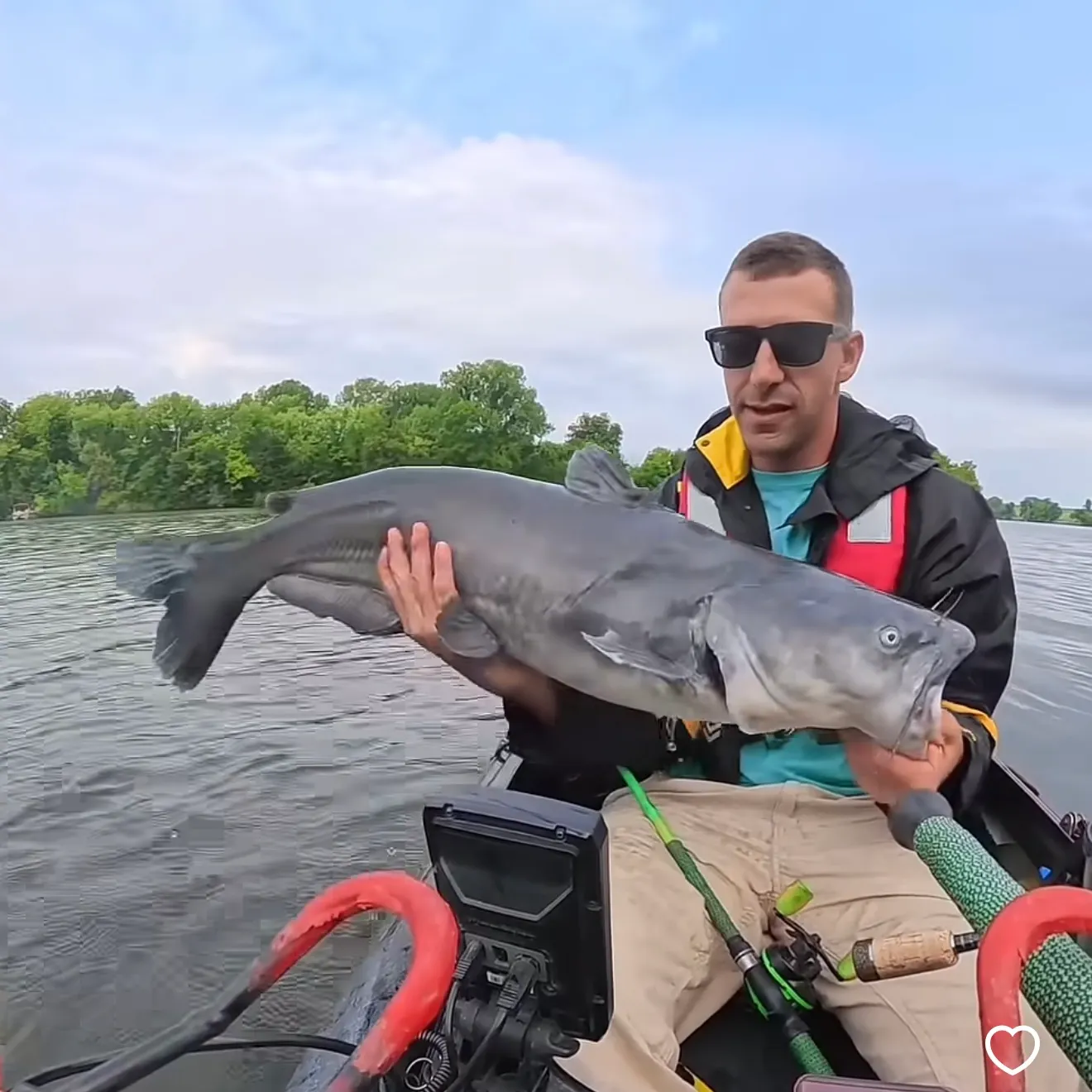 Channel catfish caught on Fishbrain