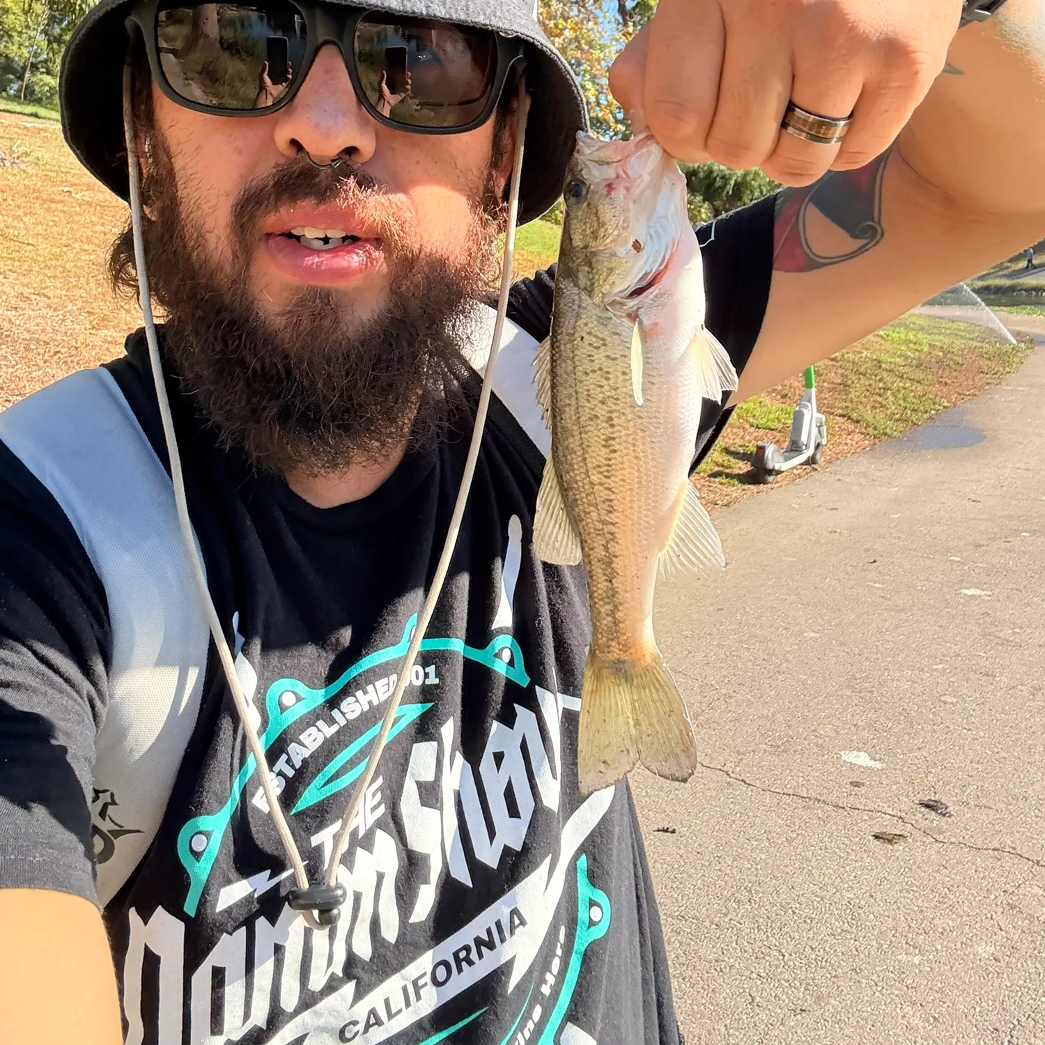 Largemouth bass caught on Fishbrain