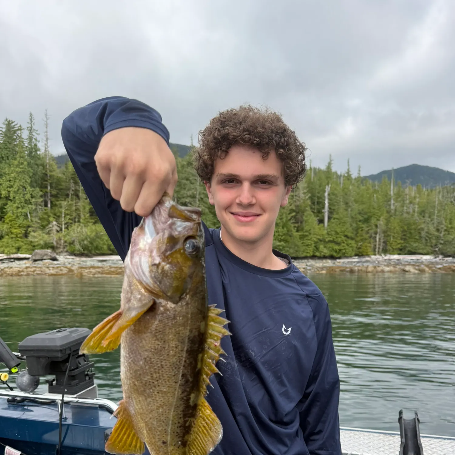 The most recent Yellowtail rockfish catches on Fishbrain