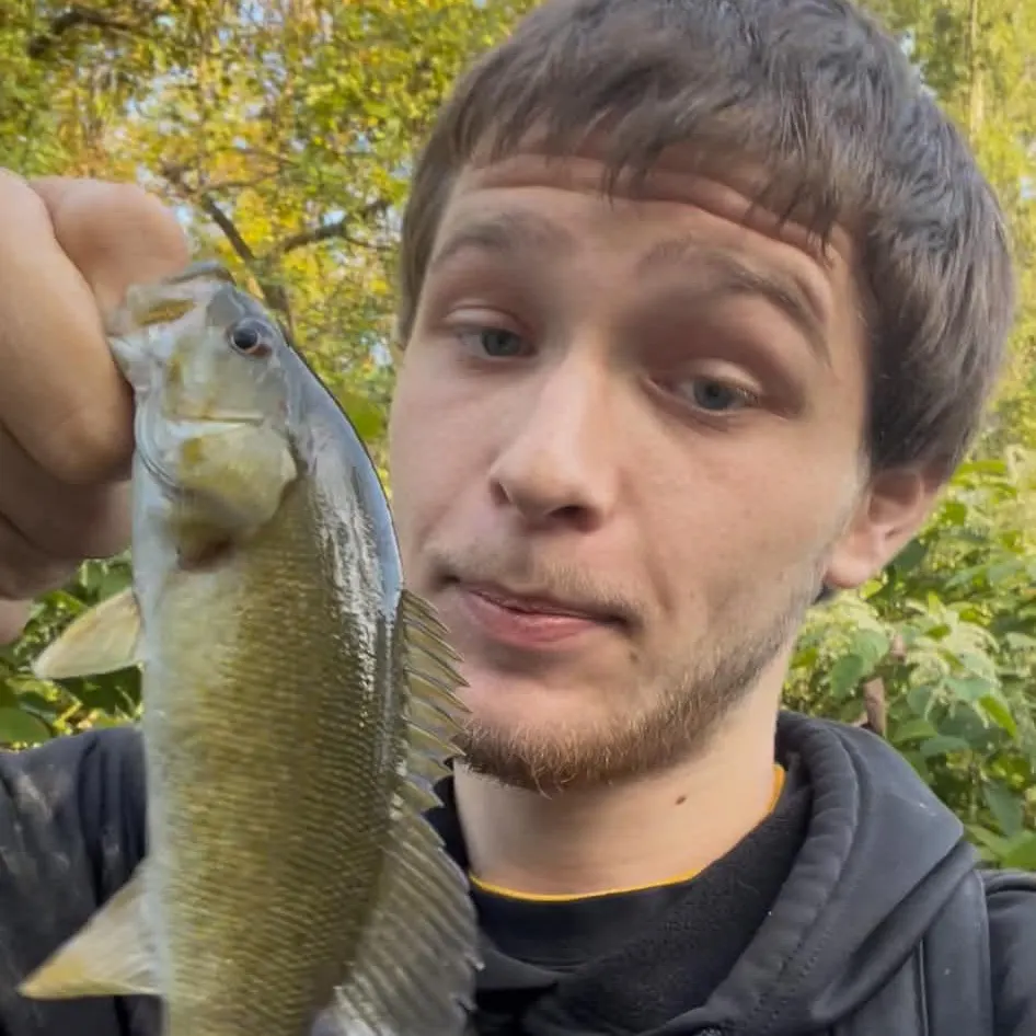Smallmouth bass caught on Fishbrain