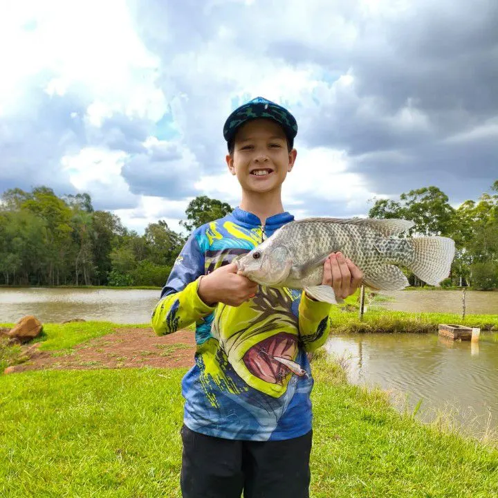 The most recent Redbreast tilapia catches on Fishbrain