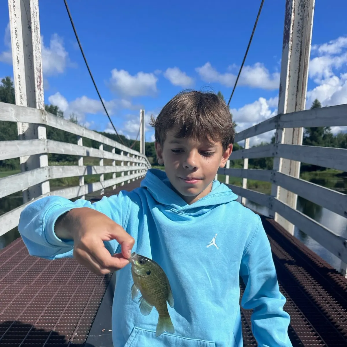 Bluegill caught on Fishbrain