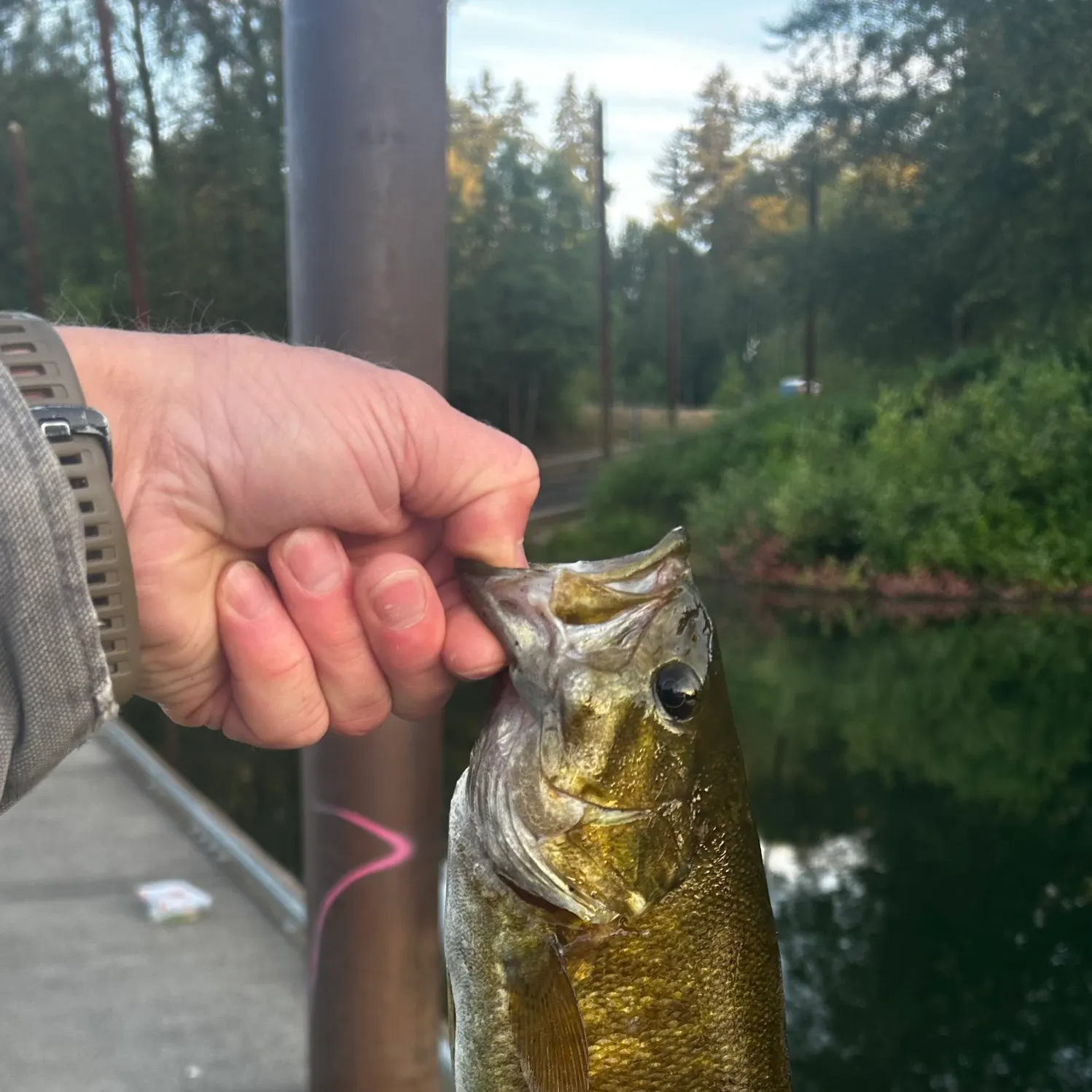 catch