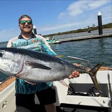 The most recent Longtail tuna catches on Fishbrain