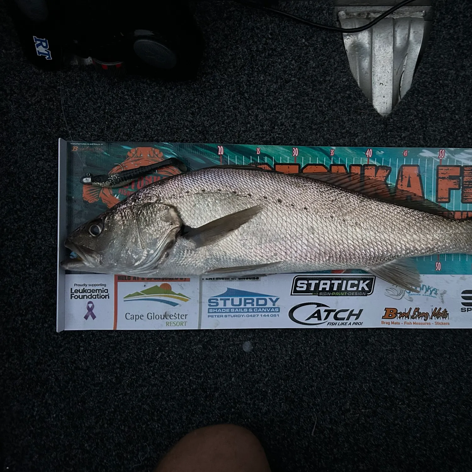The most recent Japanese meagre catches on Fishbrain