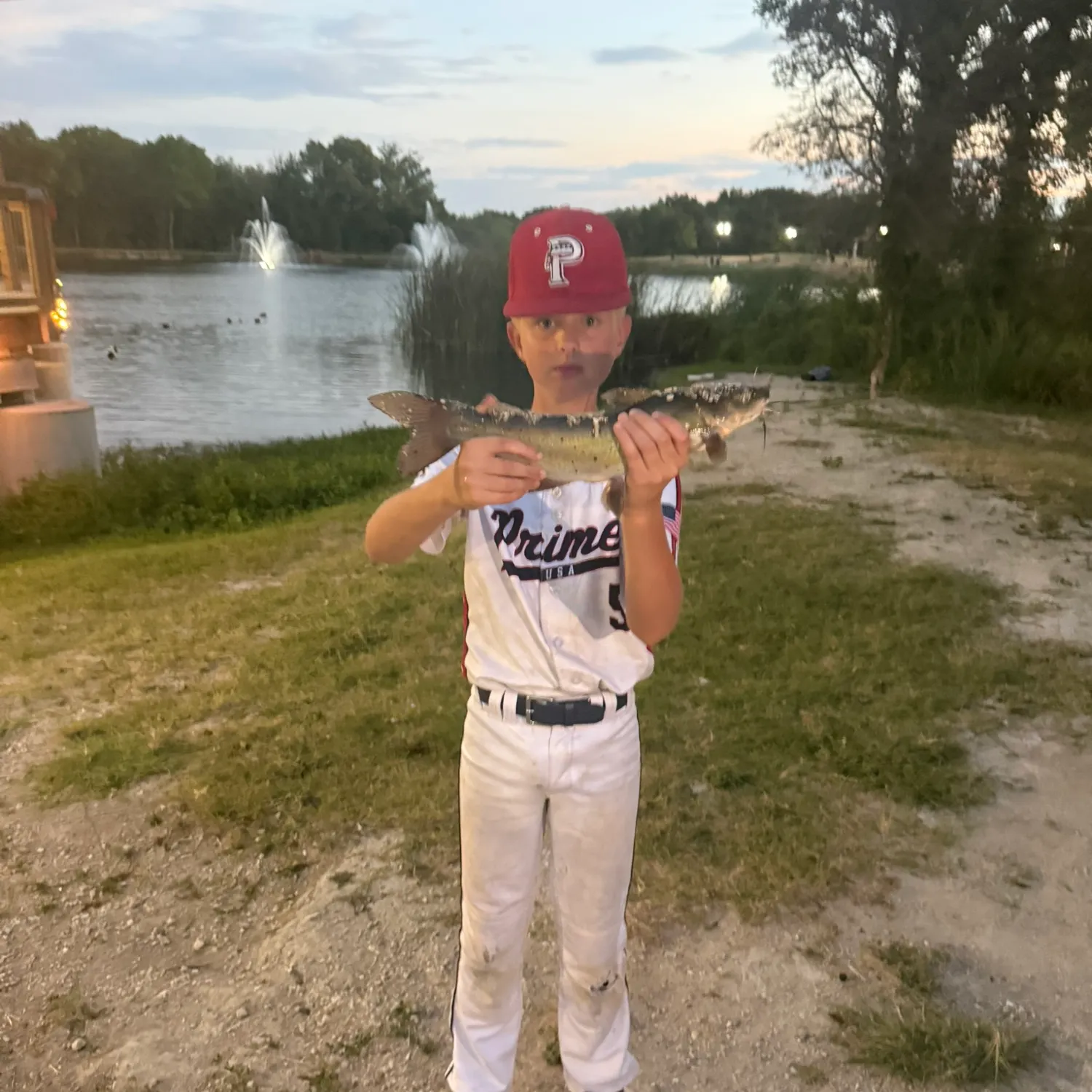 Channel catfish caught on Fishbrain