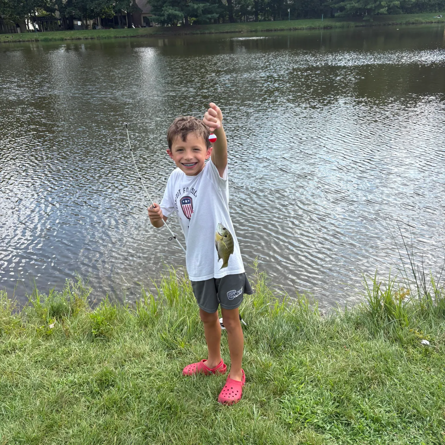 Bluegill caught on Fishbrain