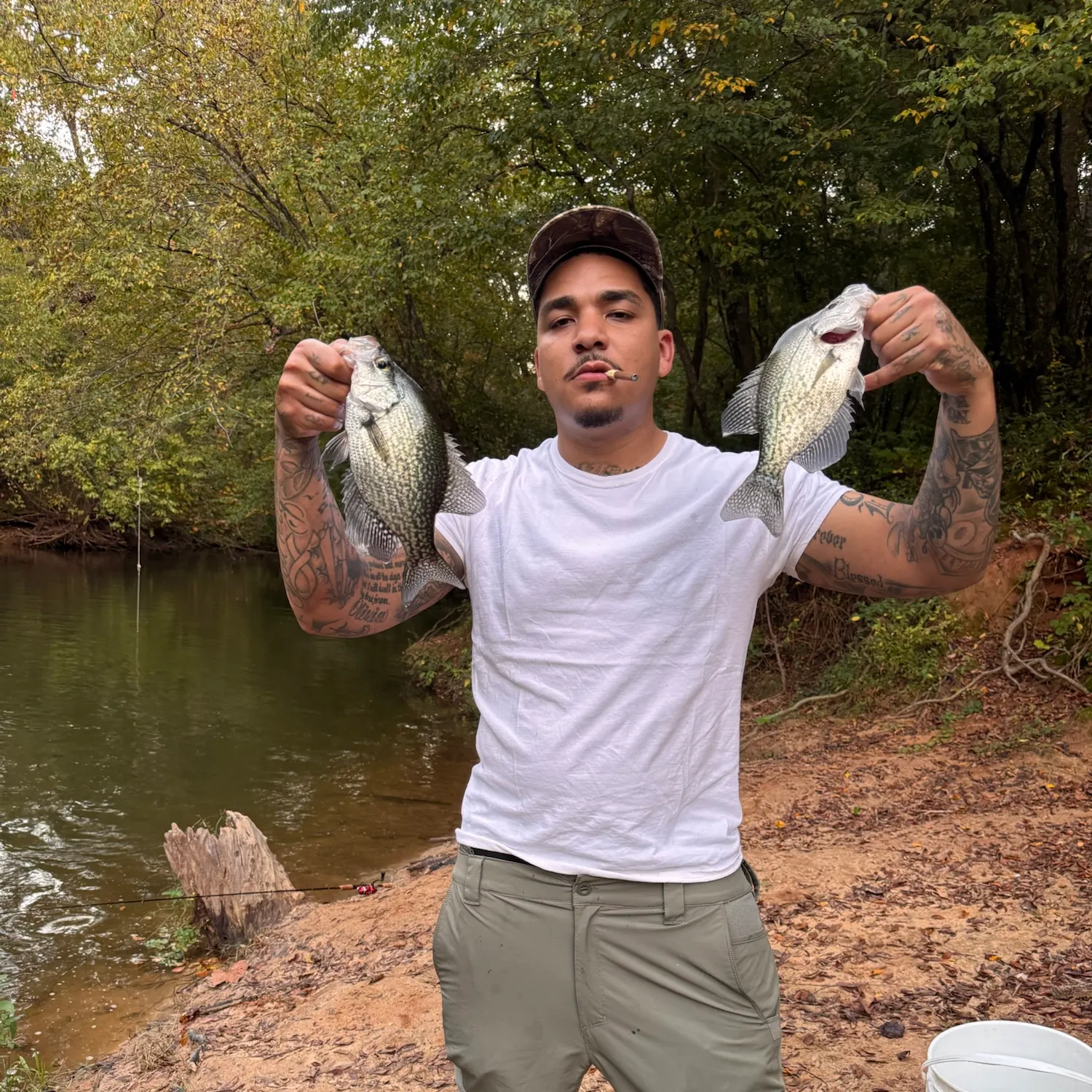 Black crappie caught on Fishbrain