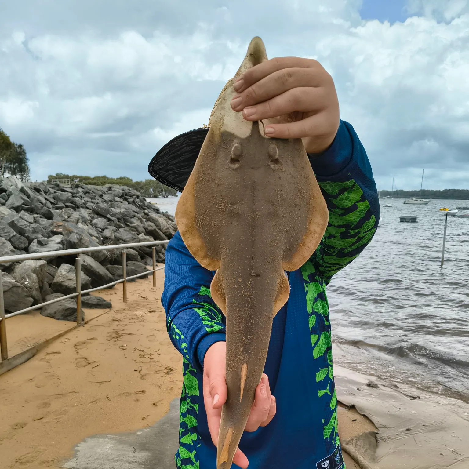 The most recent Pacific shovelnose guitarfish catches on Fishbrain