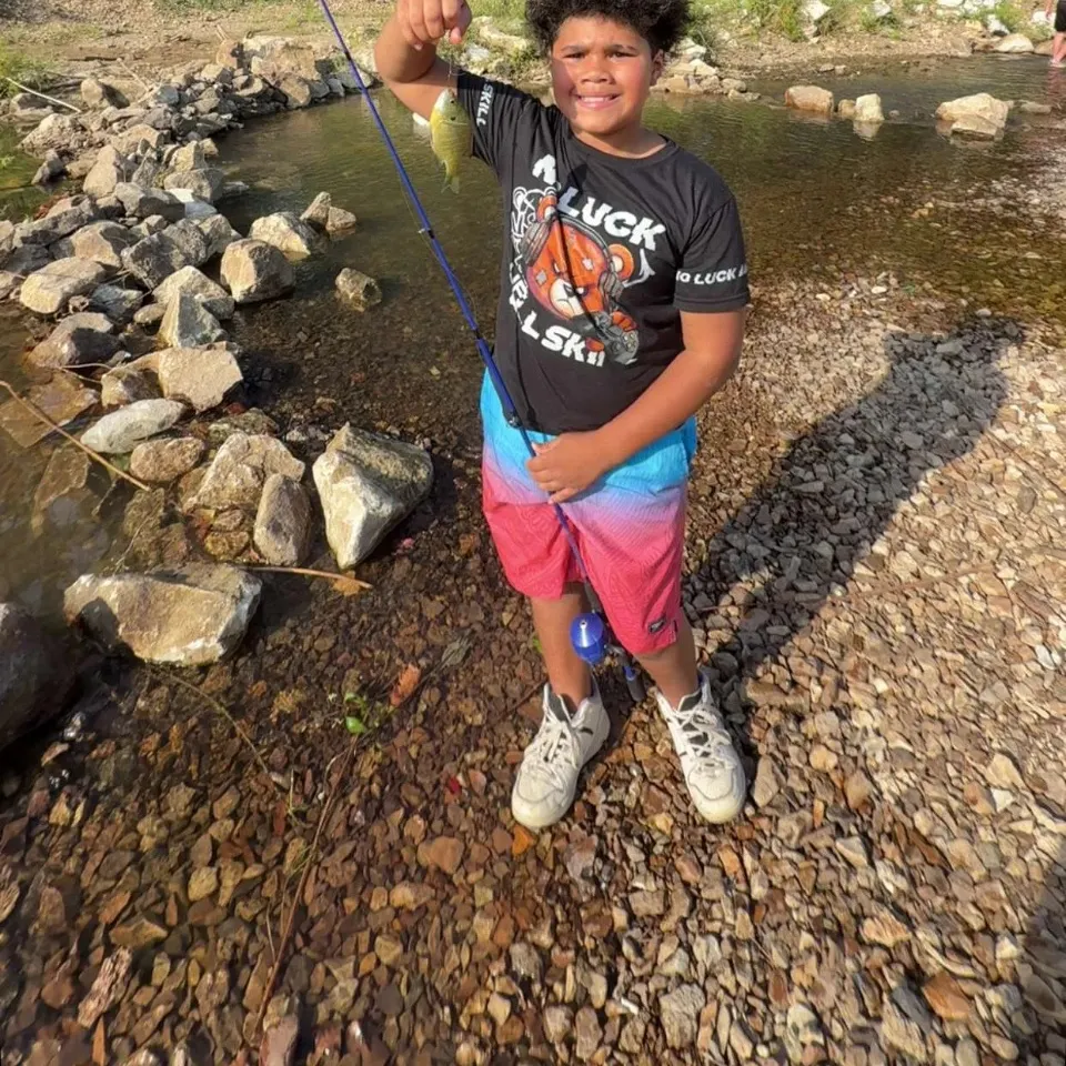 Fish caught on Fishbrain