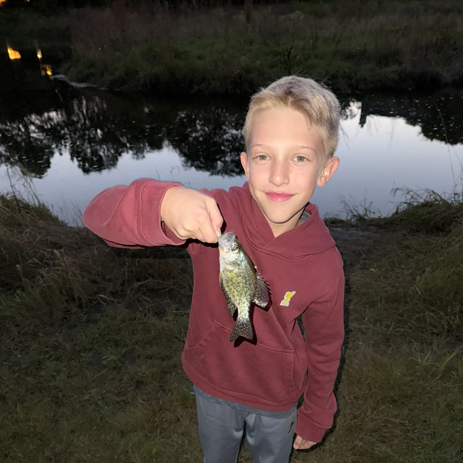 Black crappie caught on Fishbrain