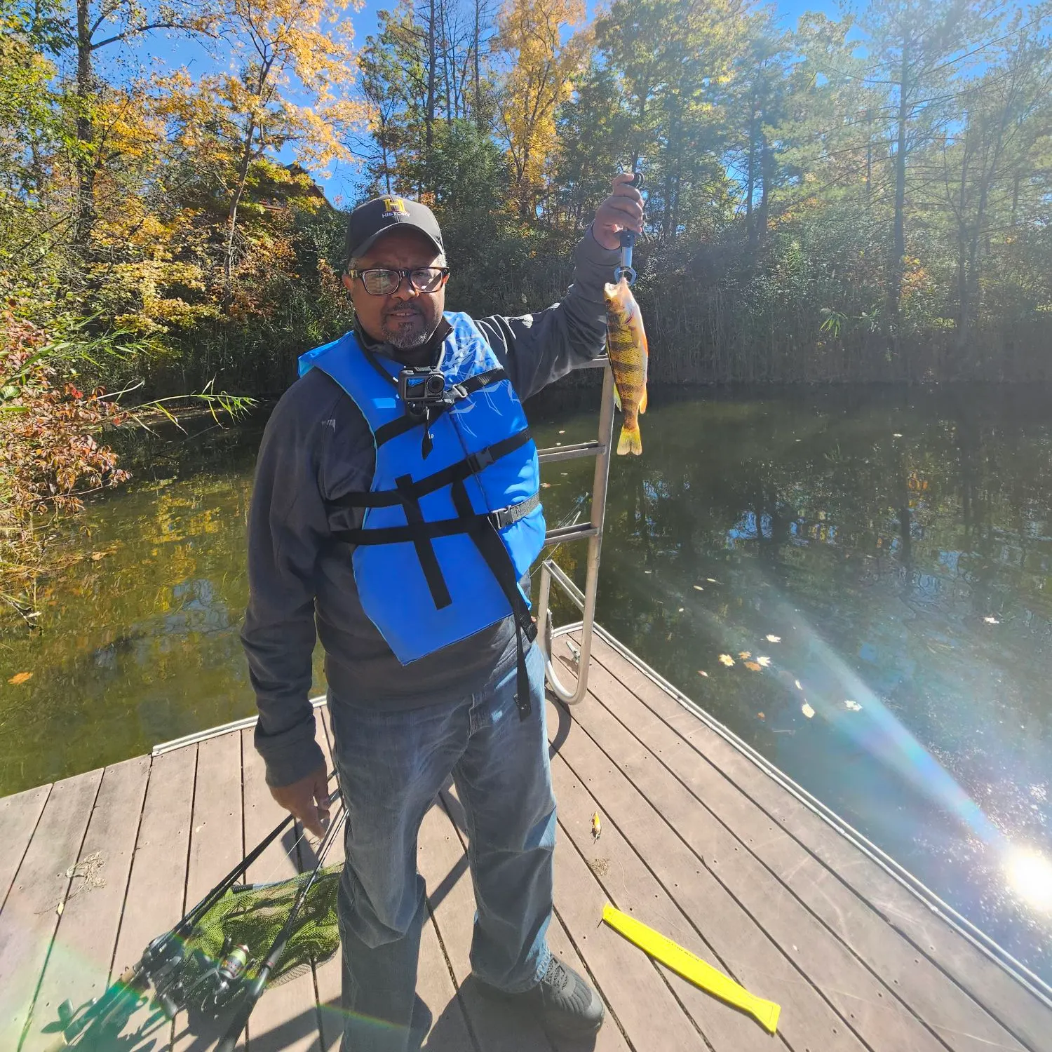 Yellow perch caught on Fishbrain