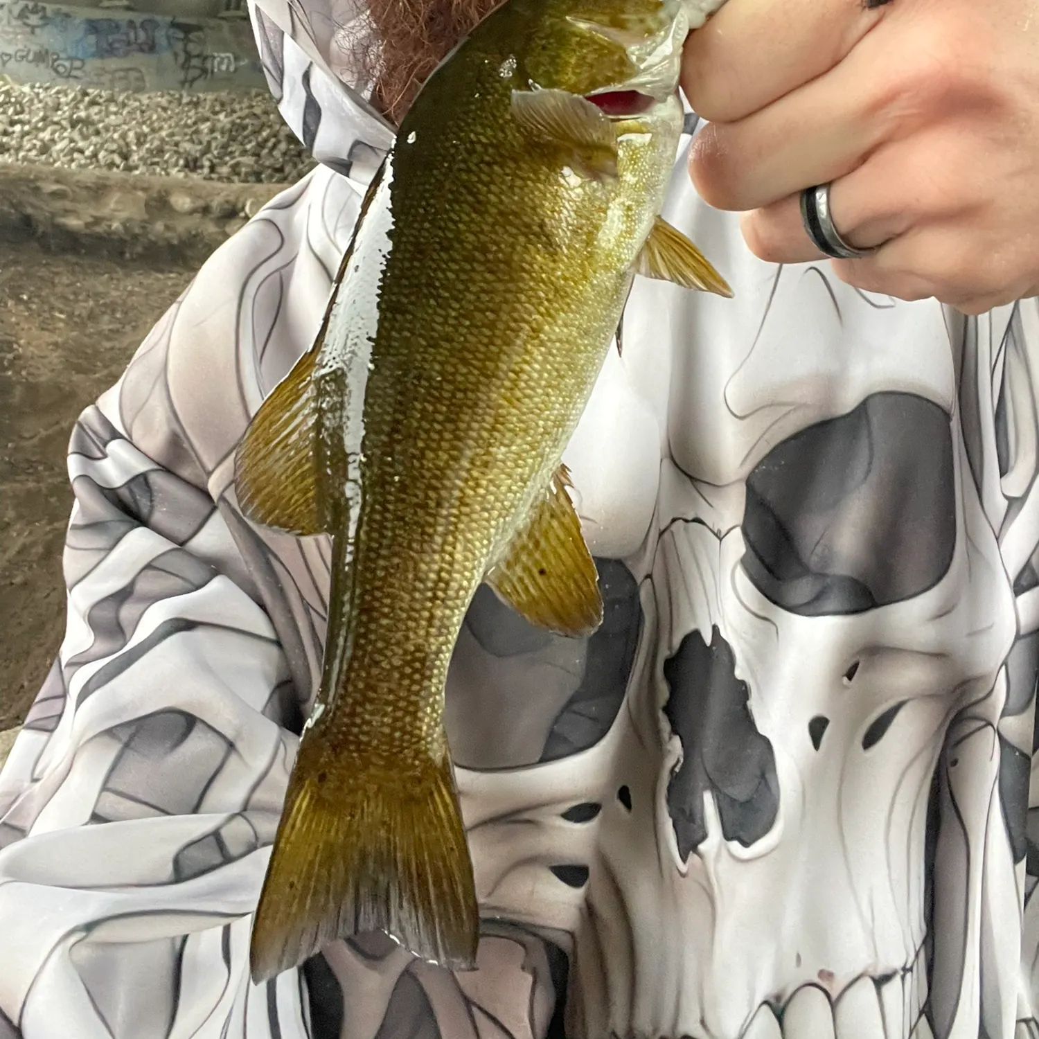 Smallmouth bass caught on Fishbrain