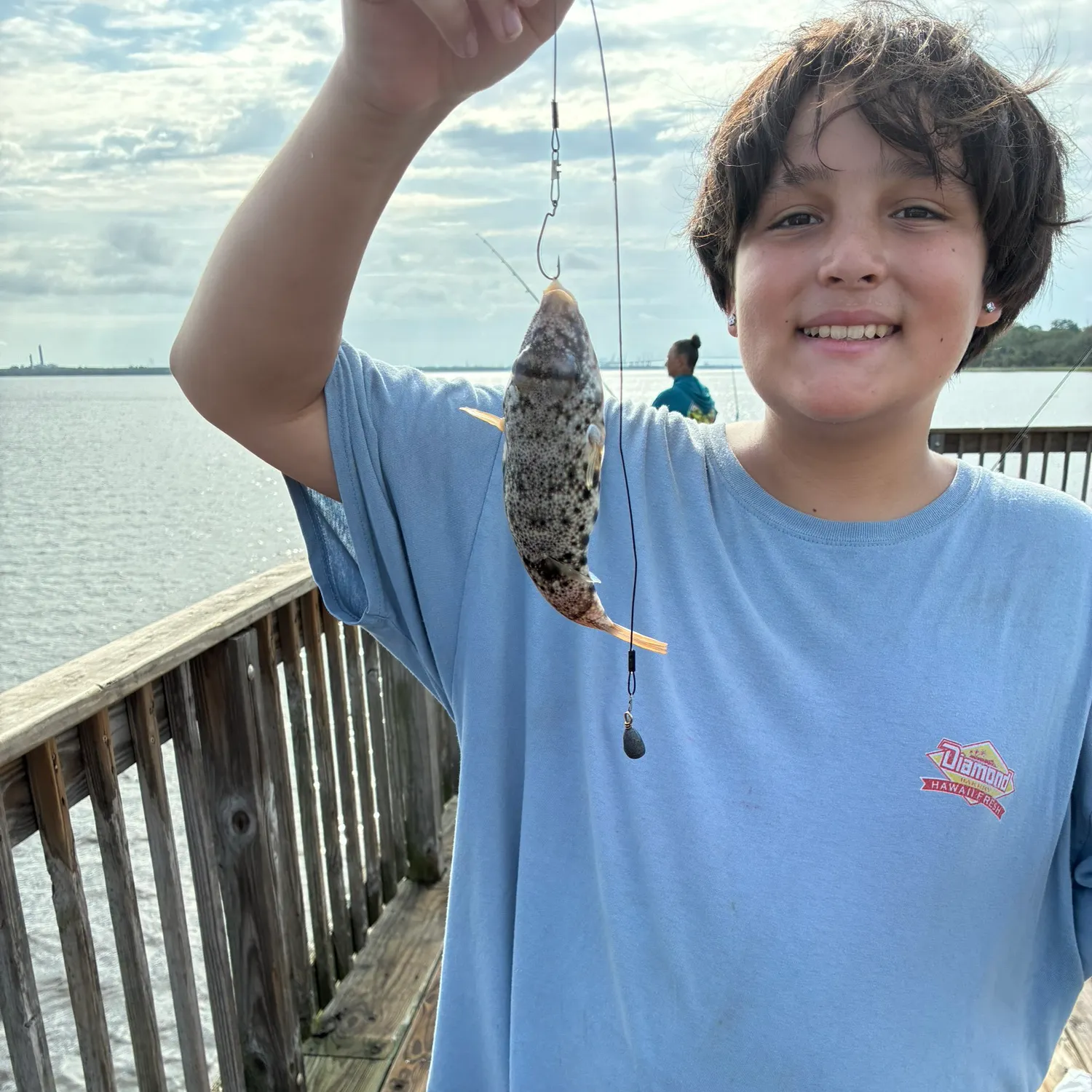 The most recent Southern puffer catches on Fishbrain