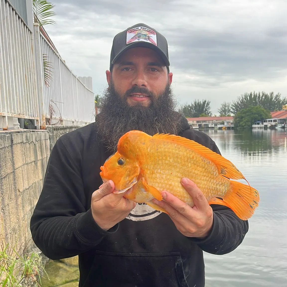 most liked catch image