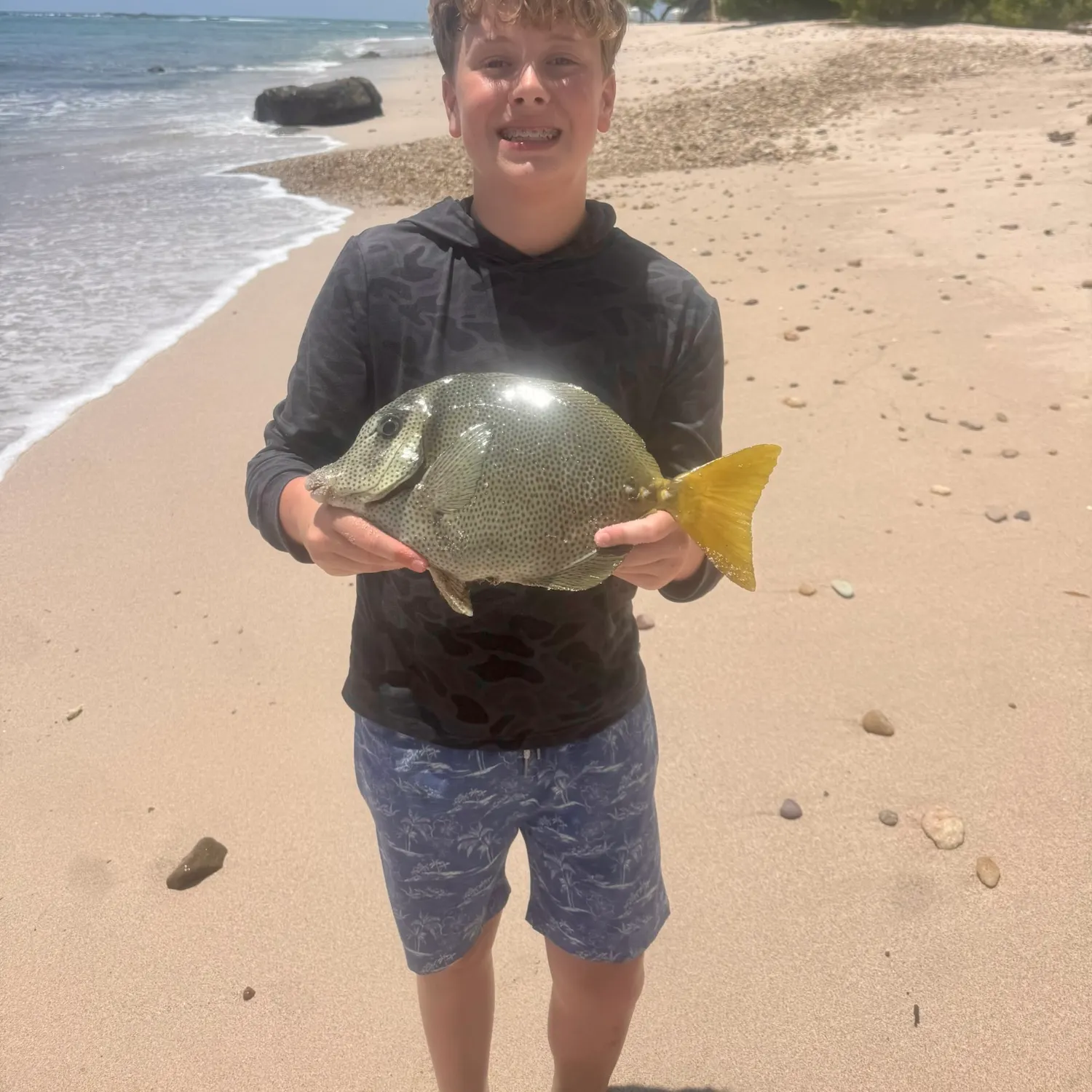 The most recent Eyestripe surgeonfish catches on Fishbrain