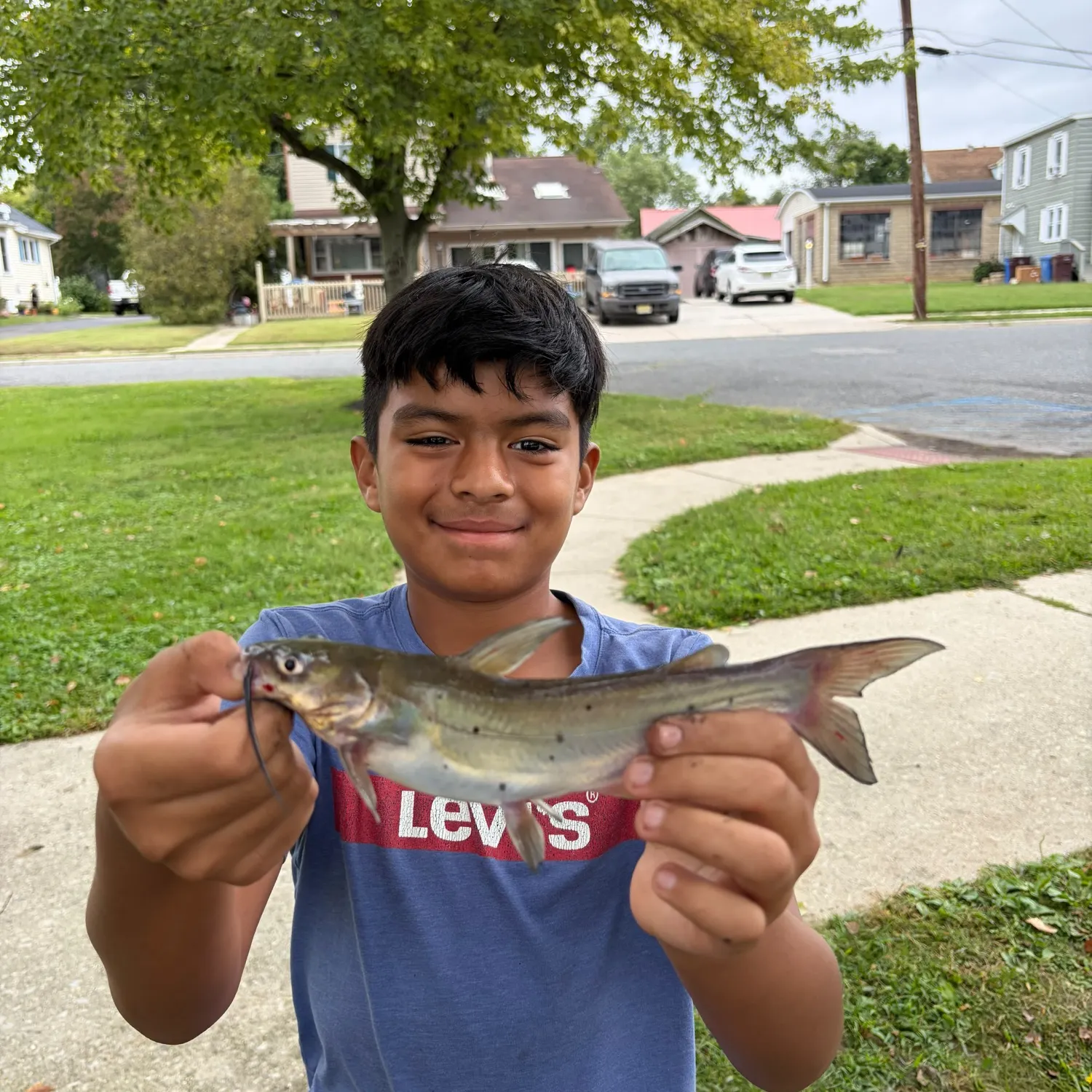 Channel catfish caught on Fishbrain