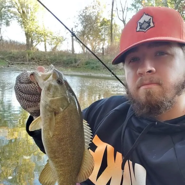 The most recent Smallmouth bass catches on Fishbrain