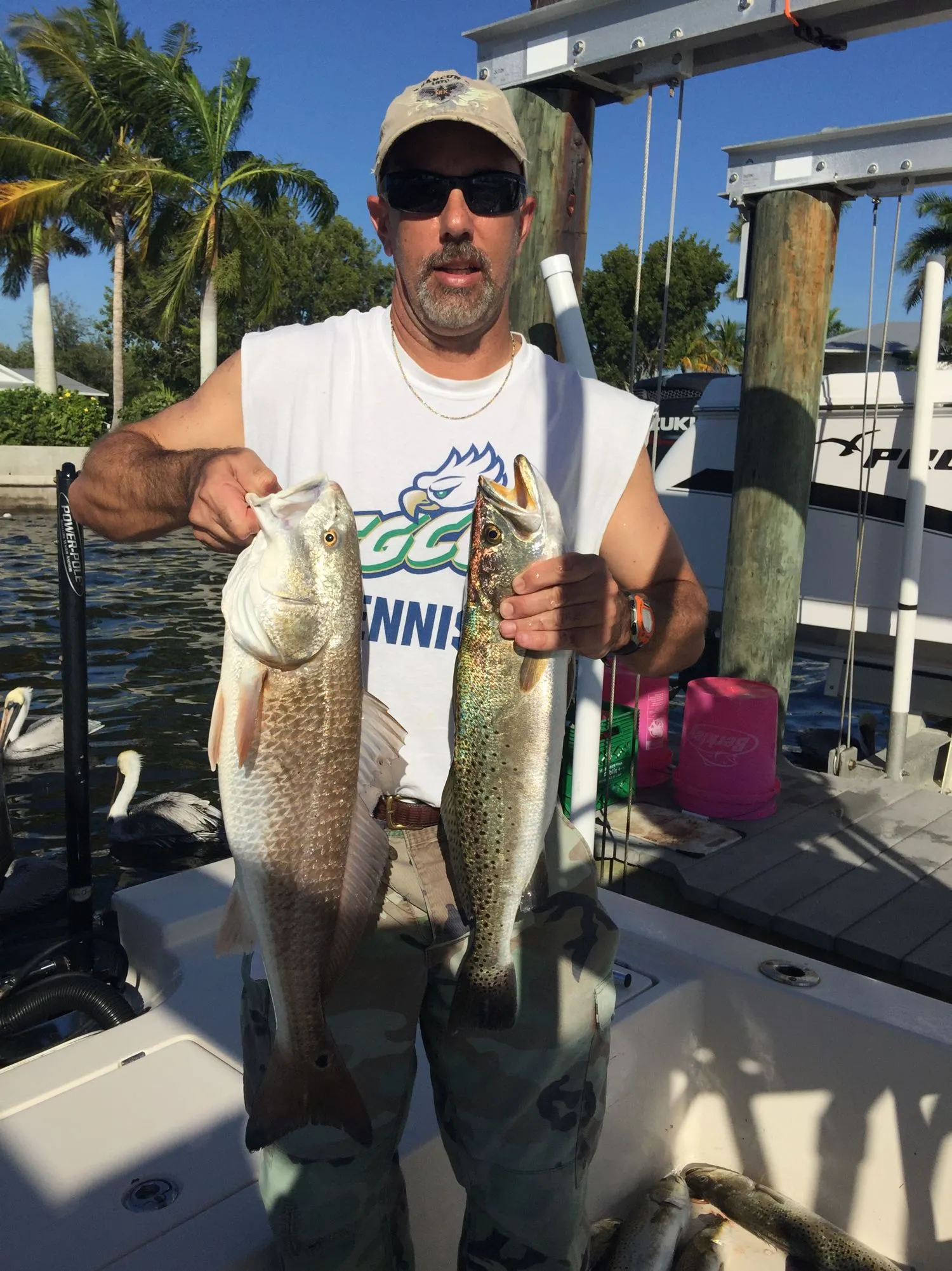 Post image from fcoryell