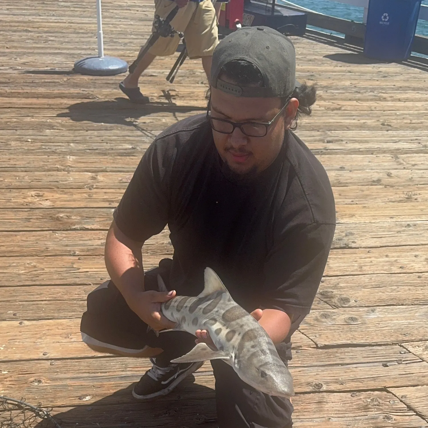 The most recent Leopard shark catches on Fishbrain