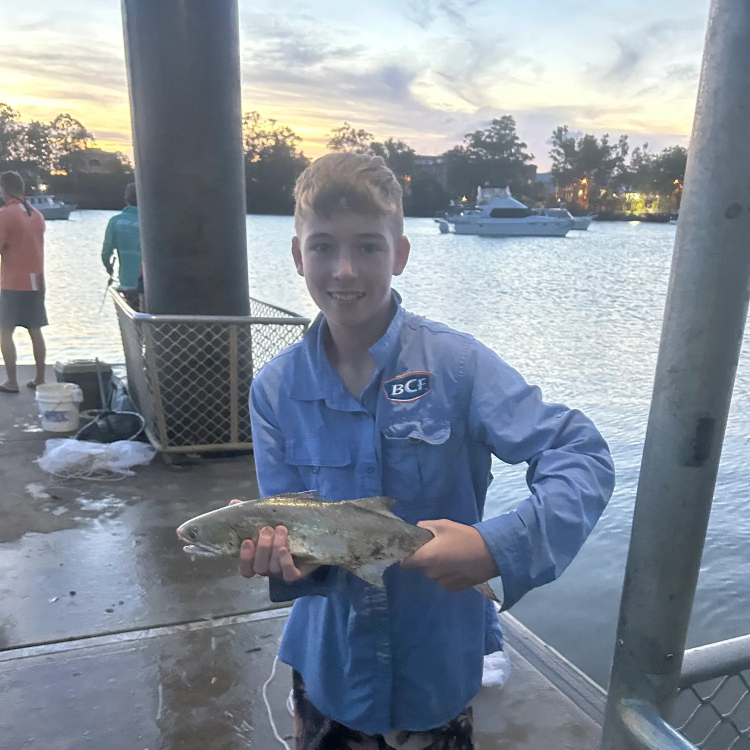 The most recent Sockeye salmon catches on Fishbrain