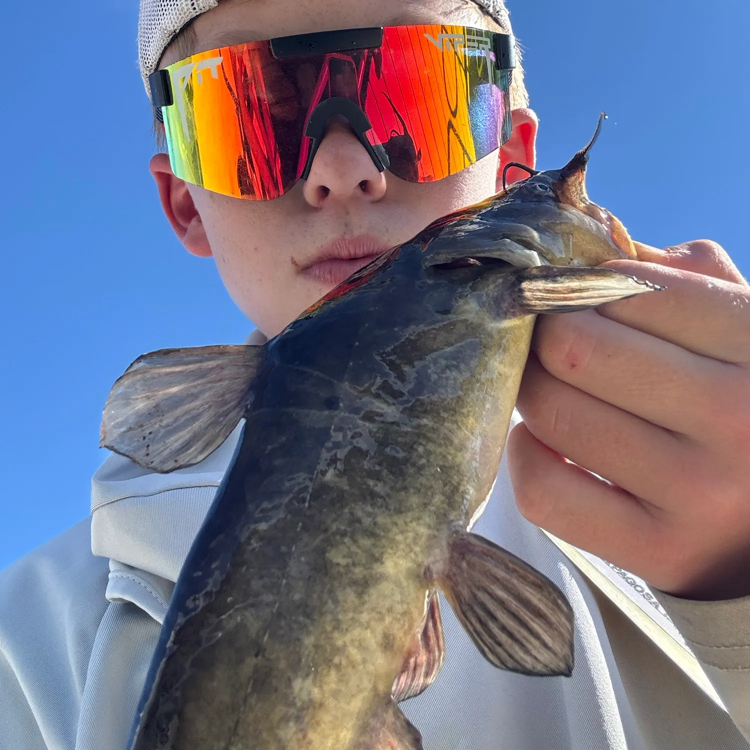 Flathead catfish caught on Fishbrain