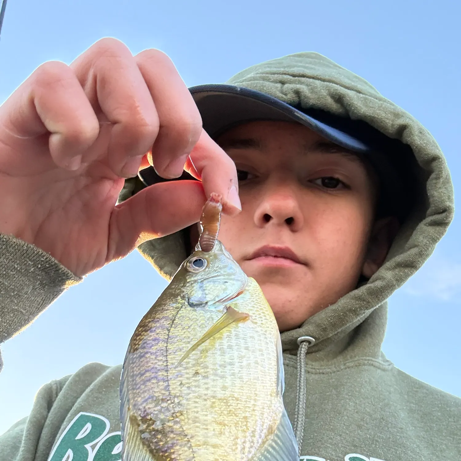 Bluegill caught on Fishbrain