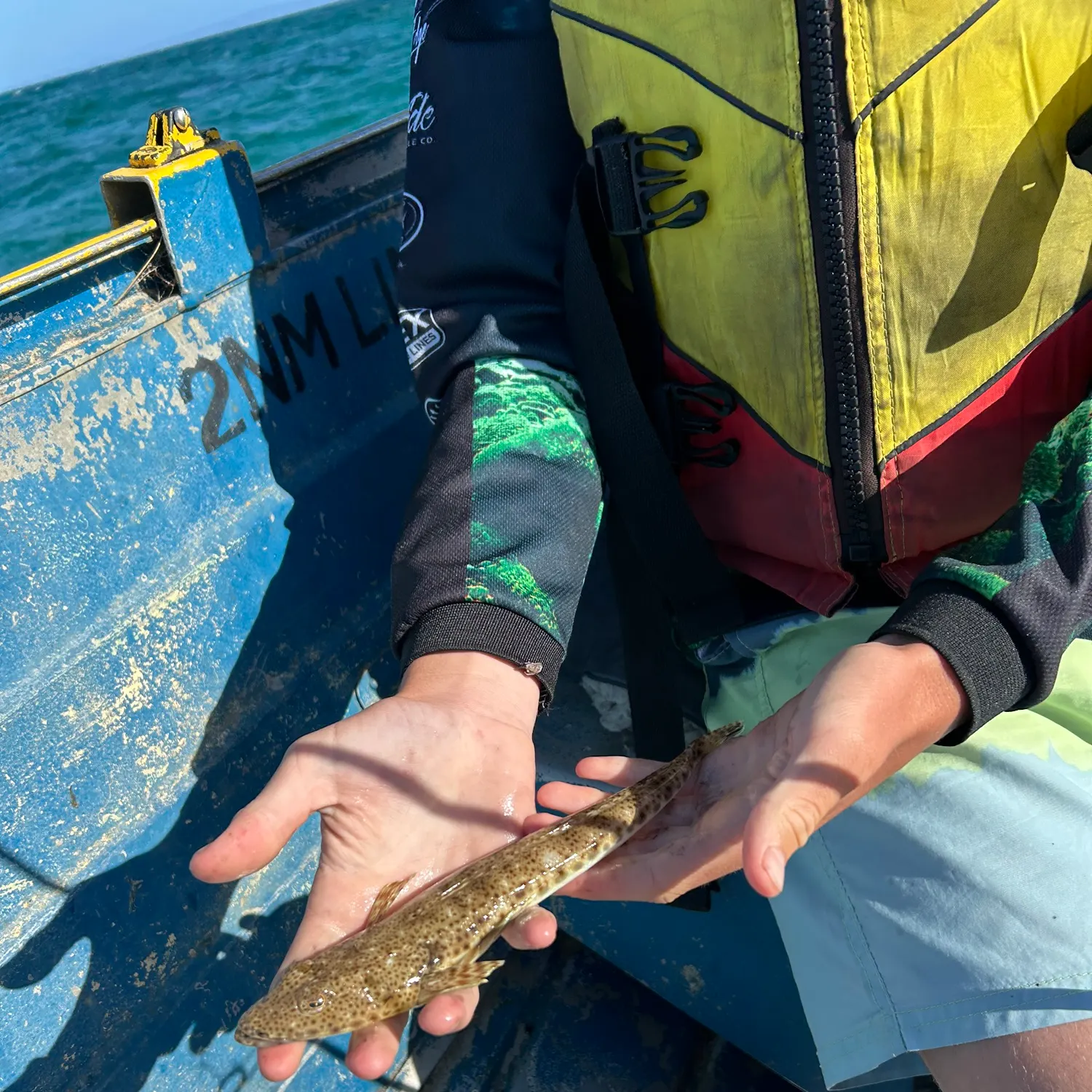 The most popular recent Sand flathead catch on Fishbrain