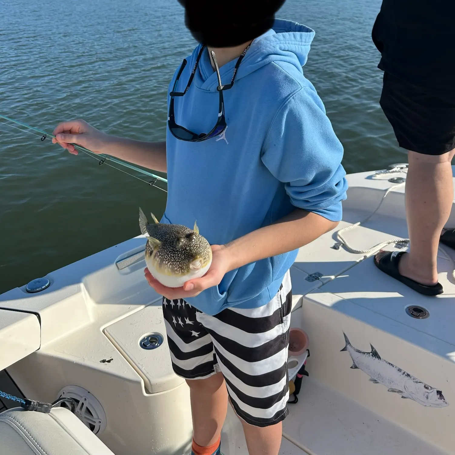 The most recent Northern puffer catches on Fishbrain