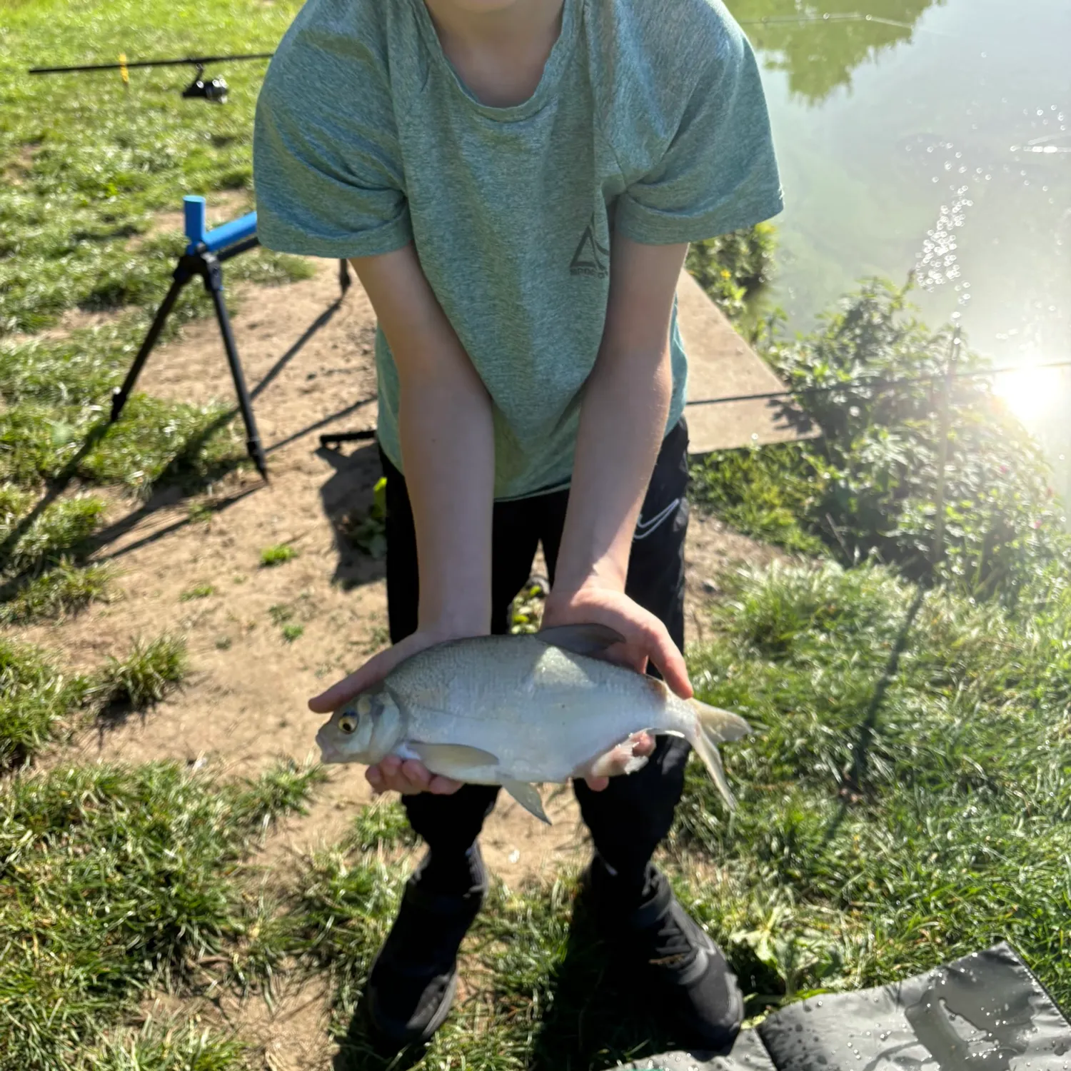 The most recent White bream catches on Fishbrain