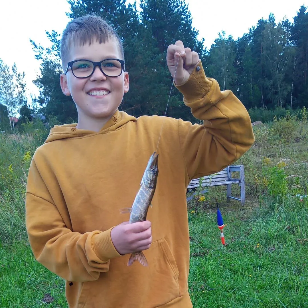 Northern pike caught on Fishbrain