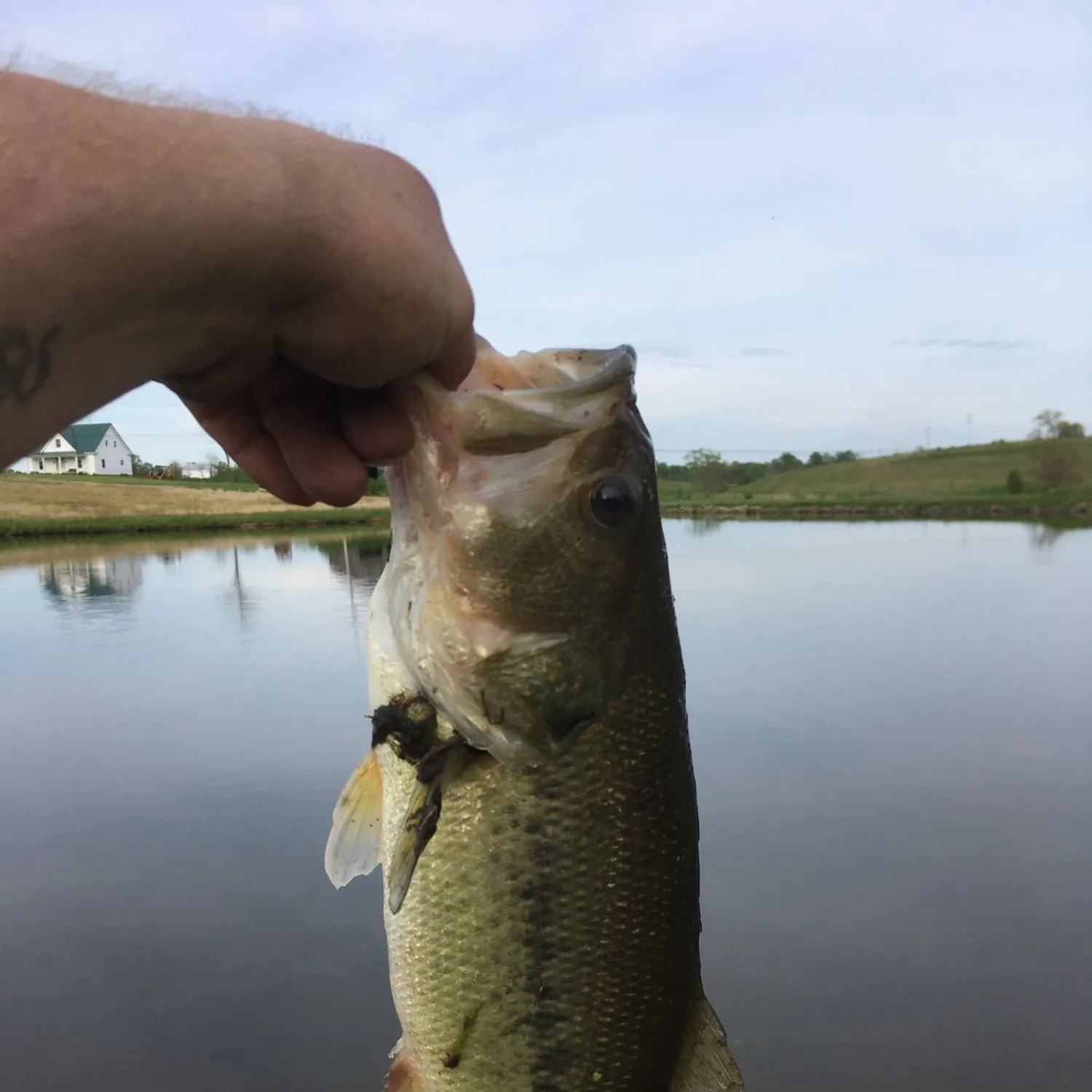 angler catch