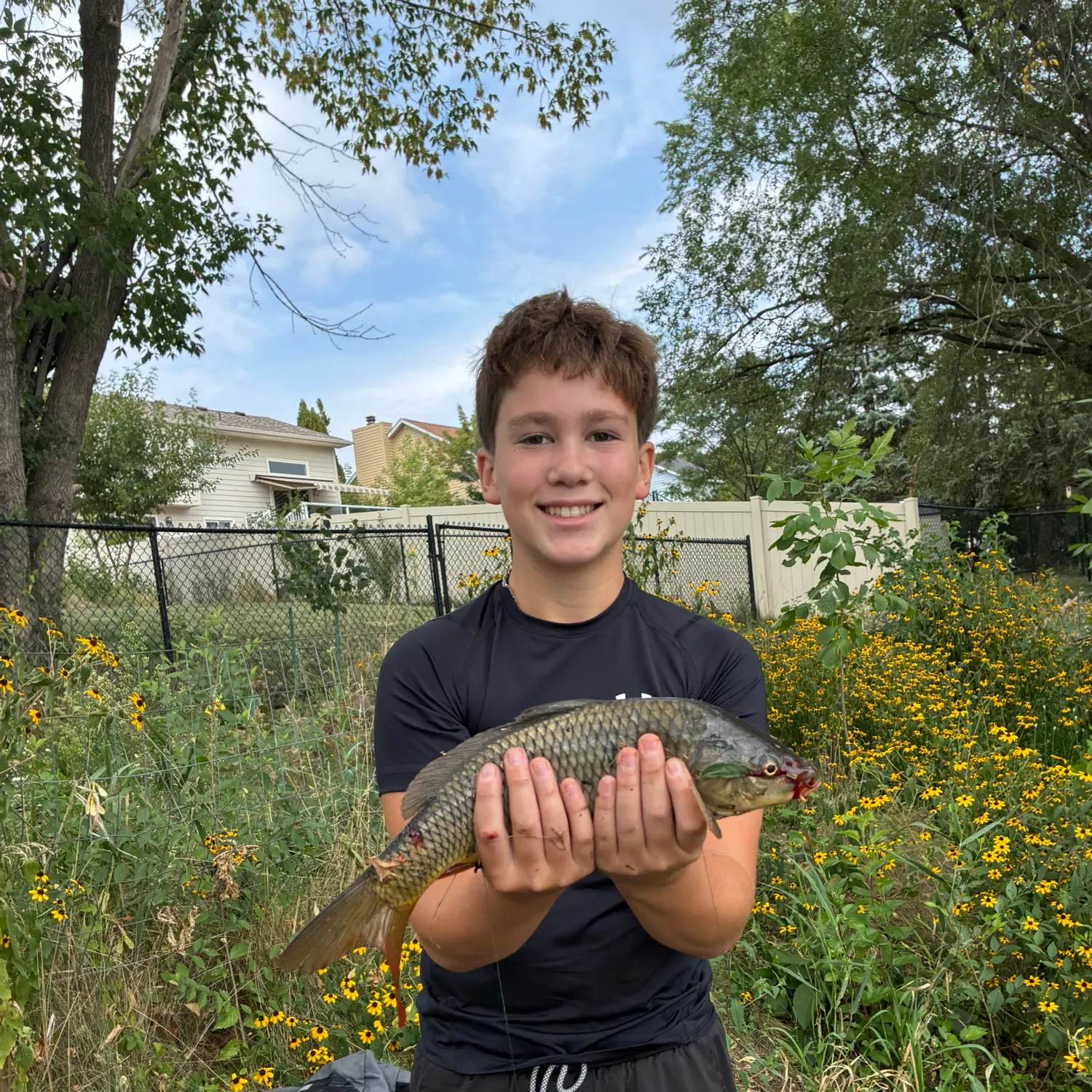 Common carp caught on Fishbrain