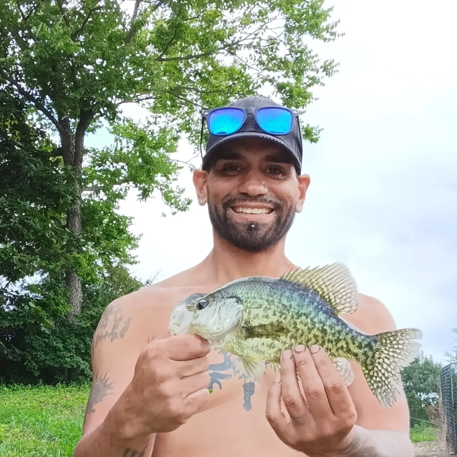 Black crappie caught on Fishbrain